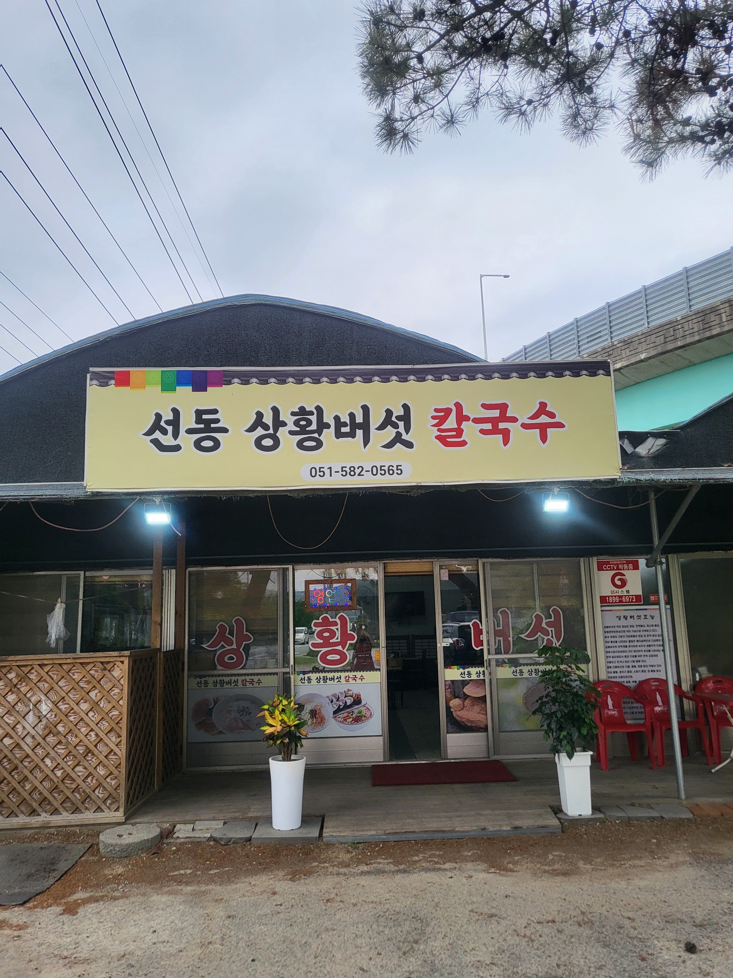 선동 상황버섯 칼국수