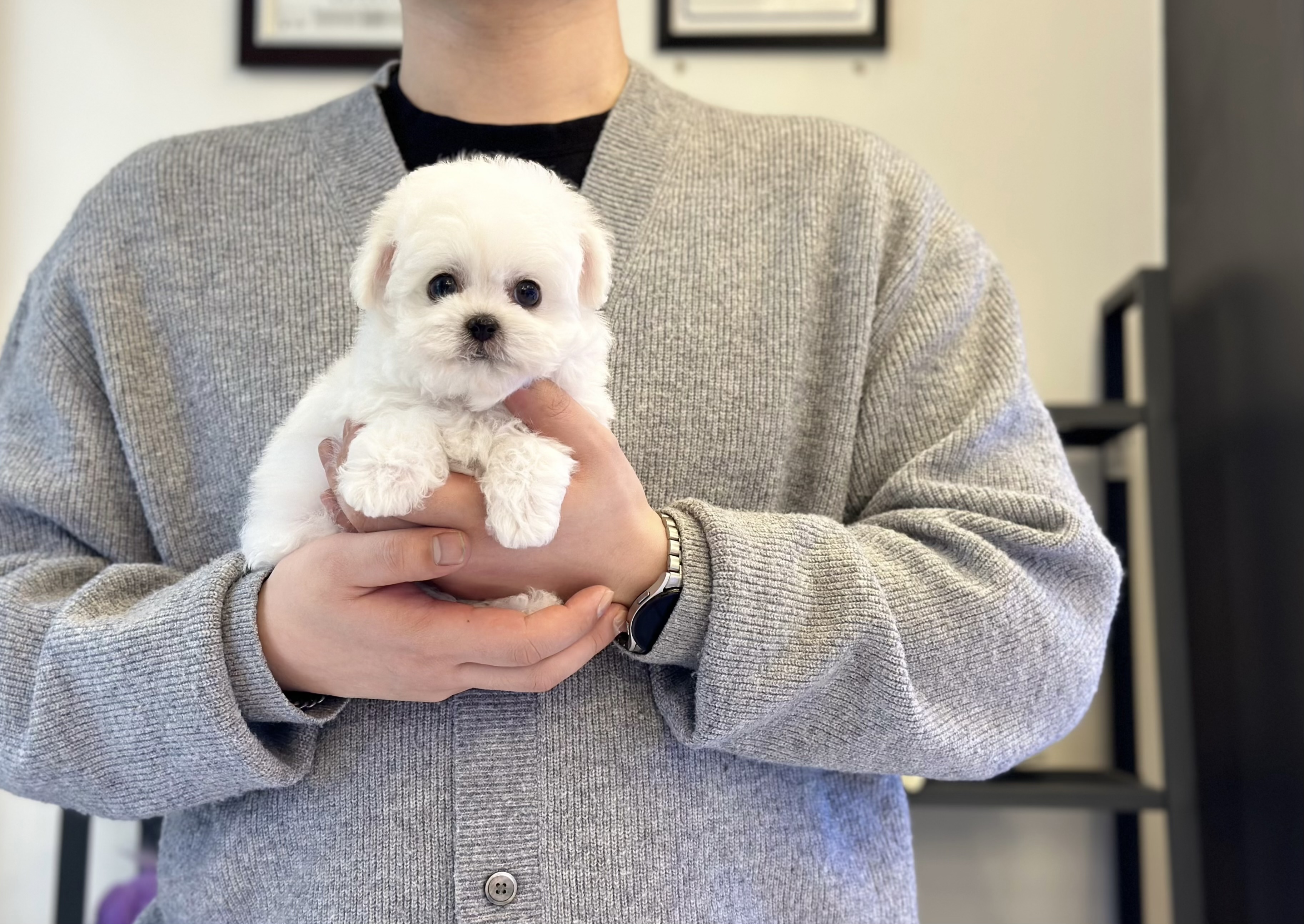 아이러브독 대구점 대표 이미지
