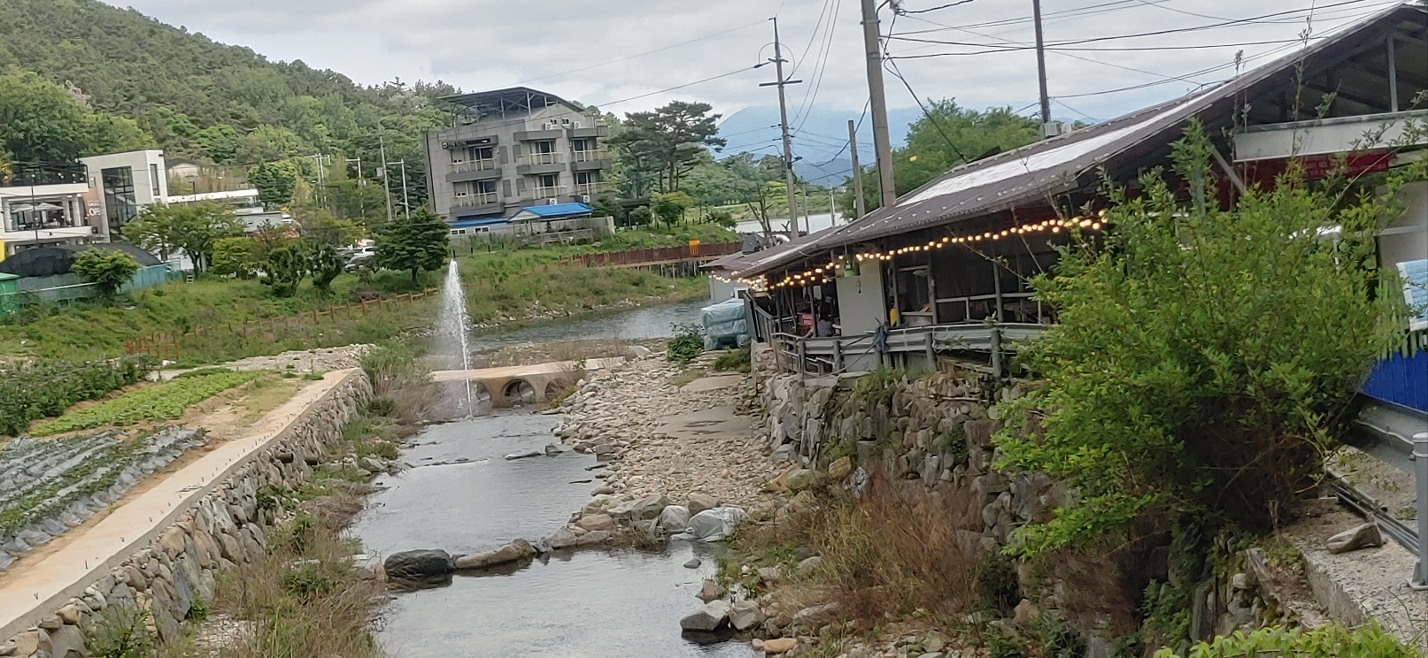 참숯불에꾸운닭앤꿈장어