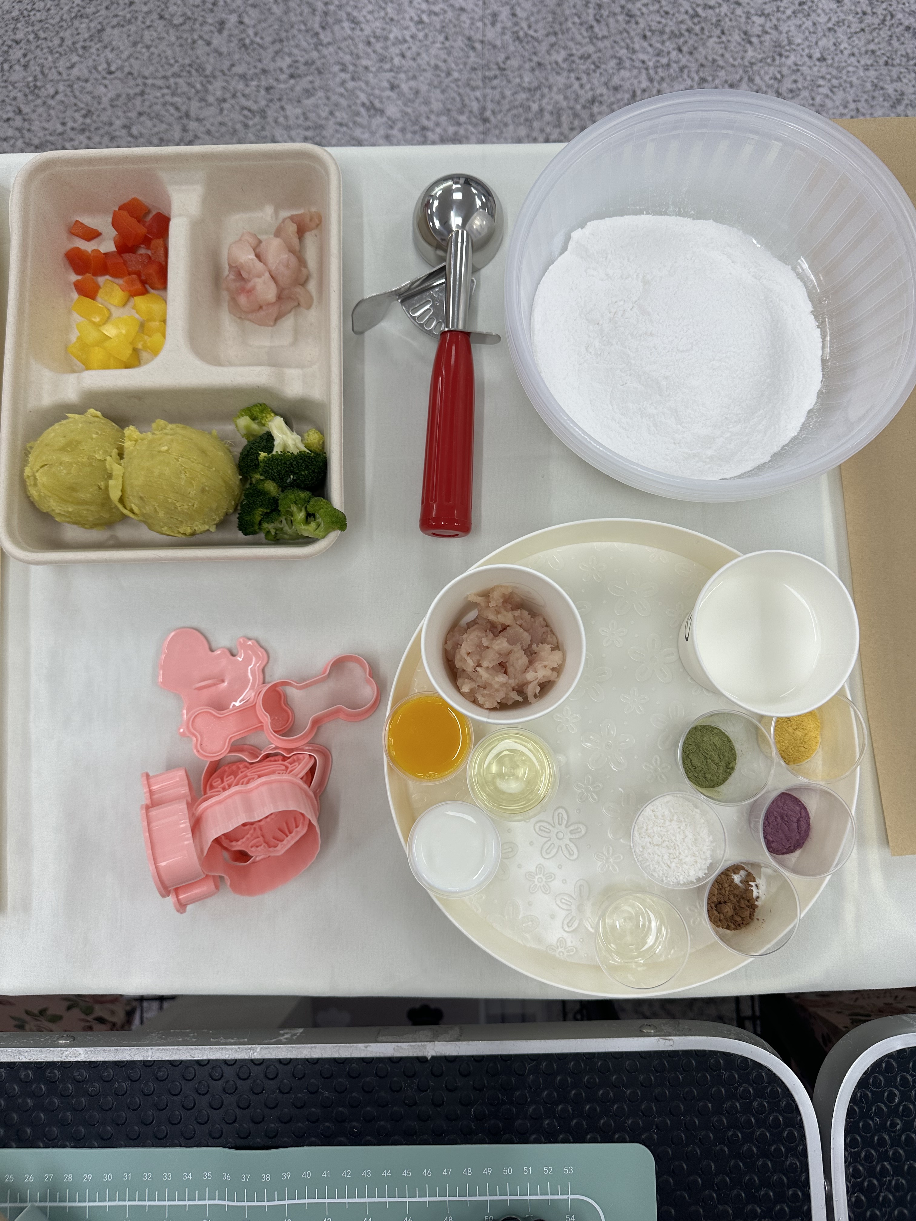 이바우펫 천호 내부