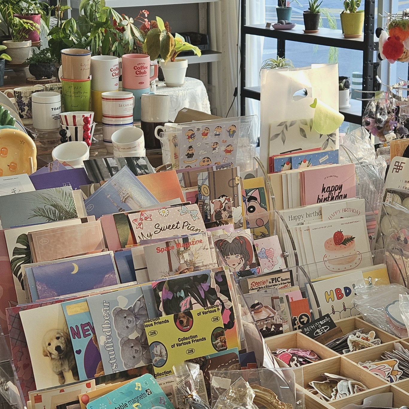 타이니테라 대표 이미지