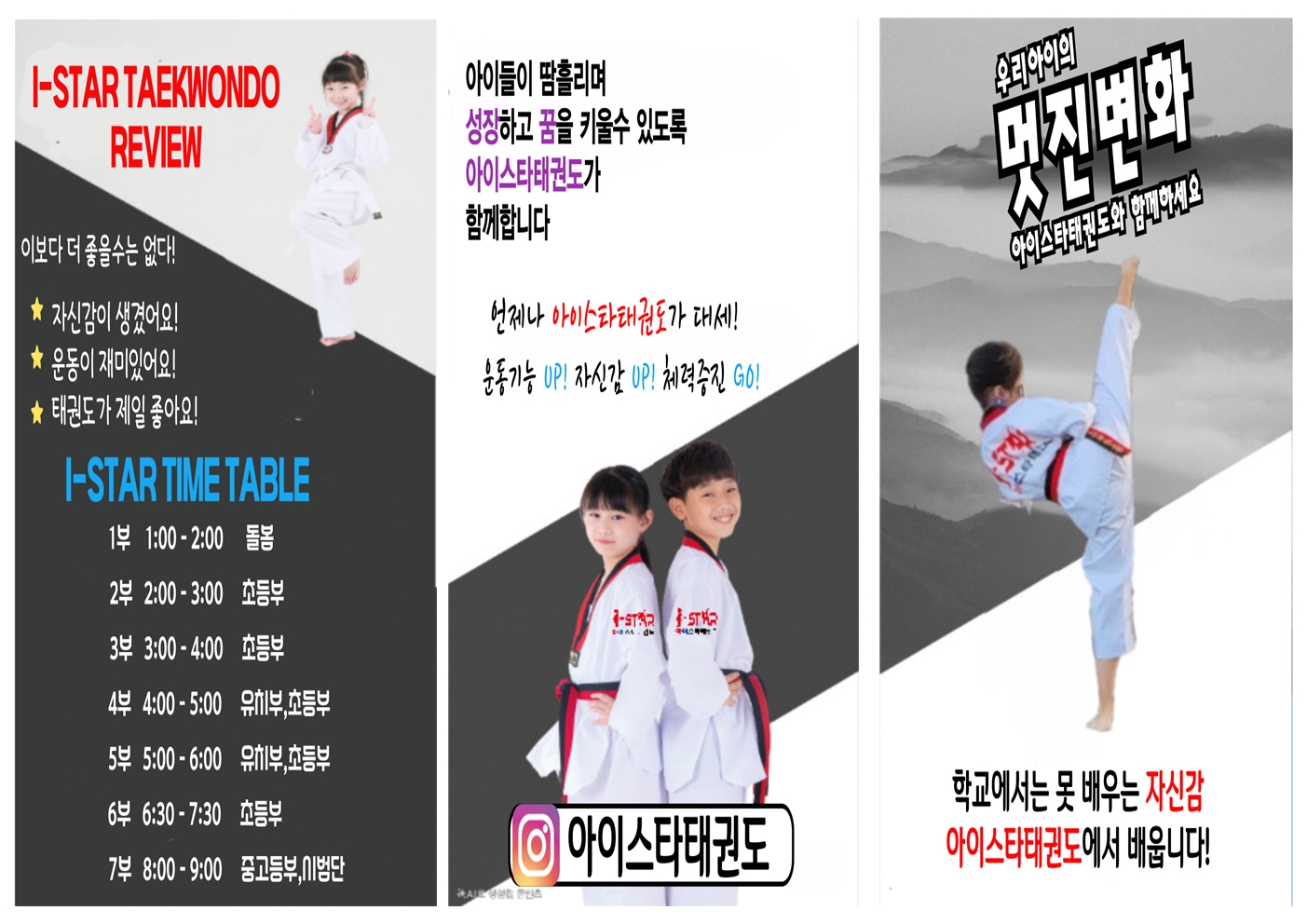 아이스타태권도
