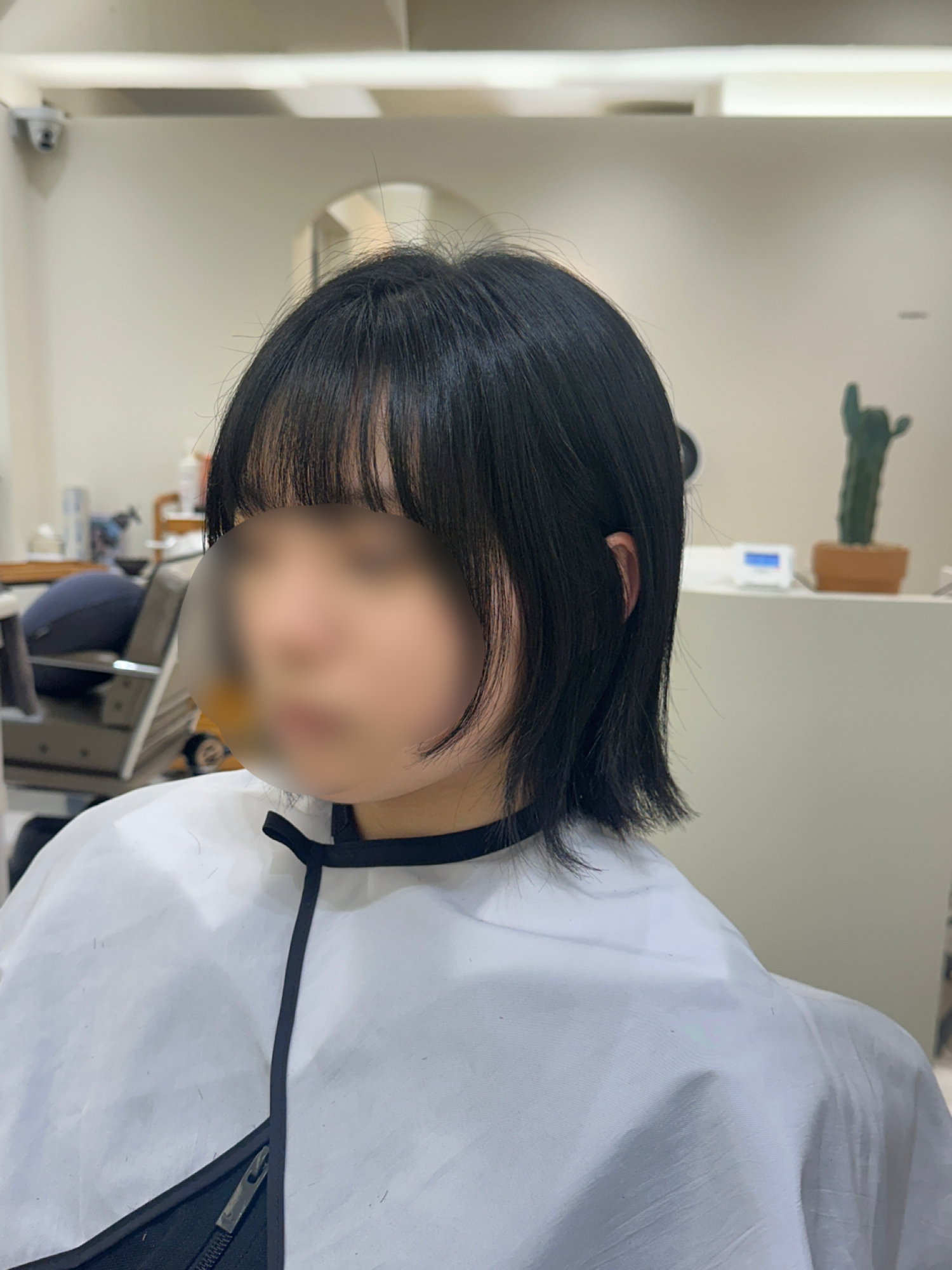 고바살롱 내부 또는 관련 모습