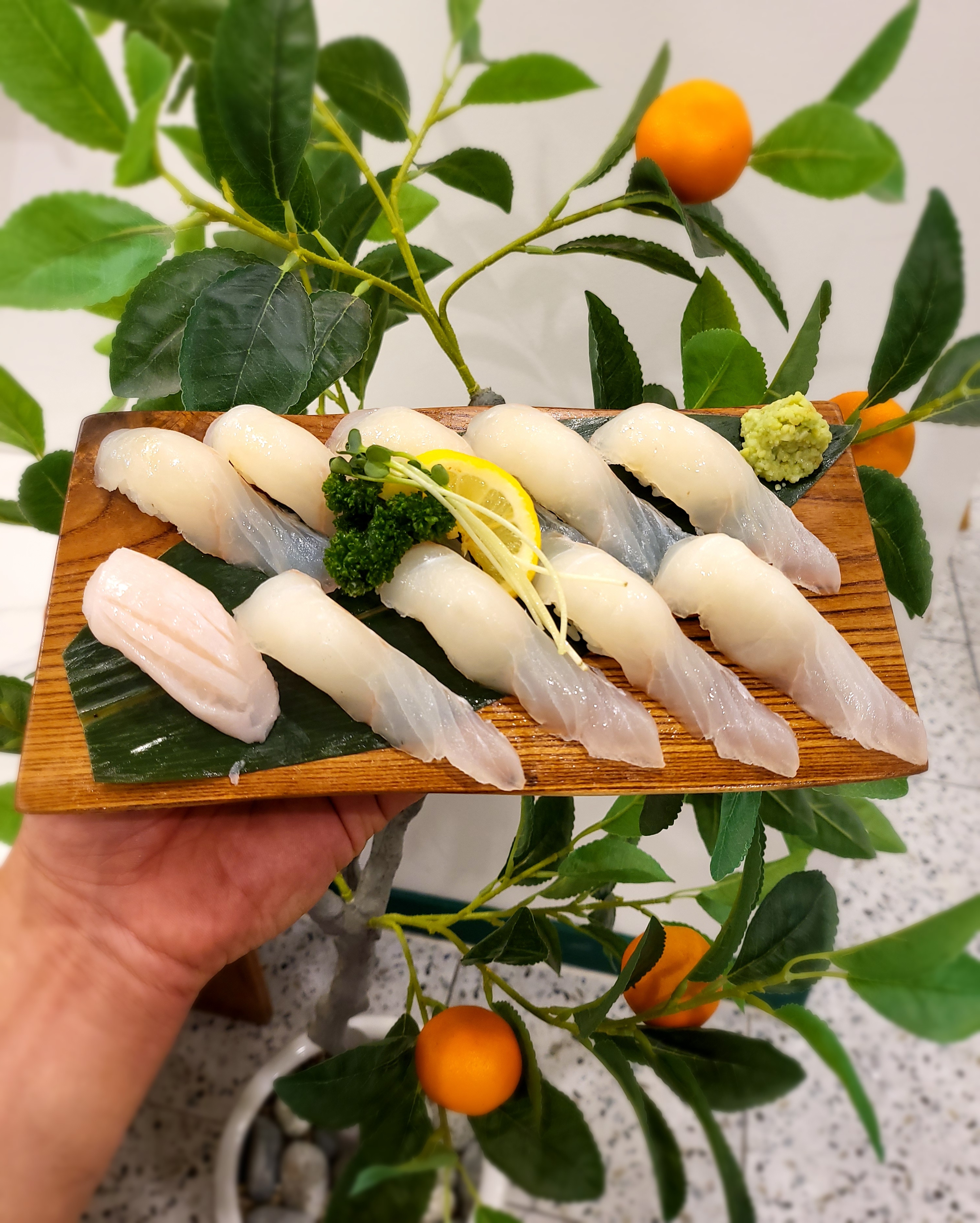 모모스시