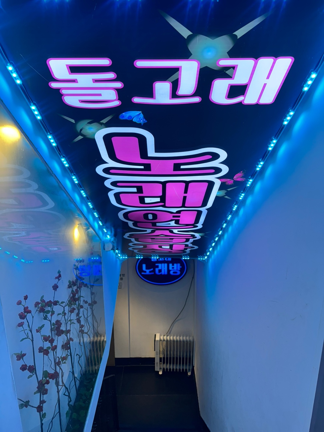 돌고래노래연습장 내부 또는 관련 모습