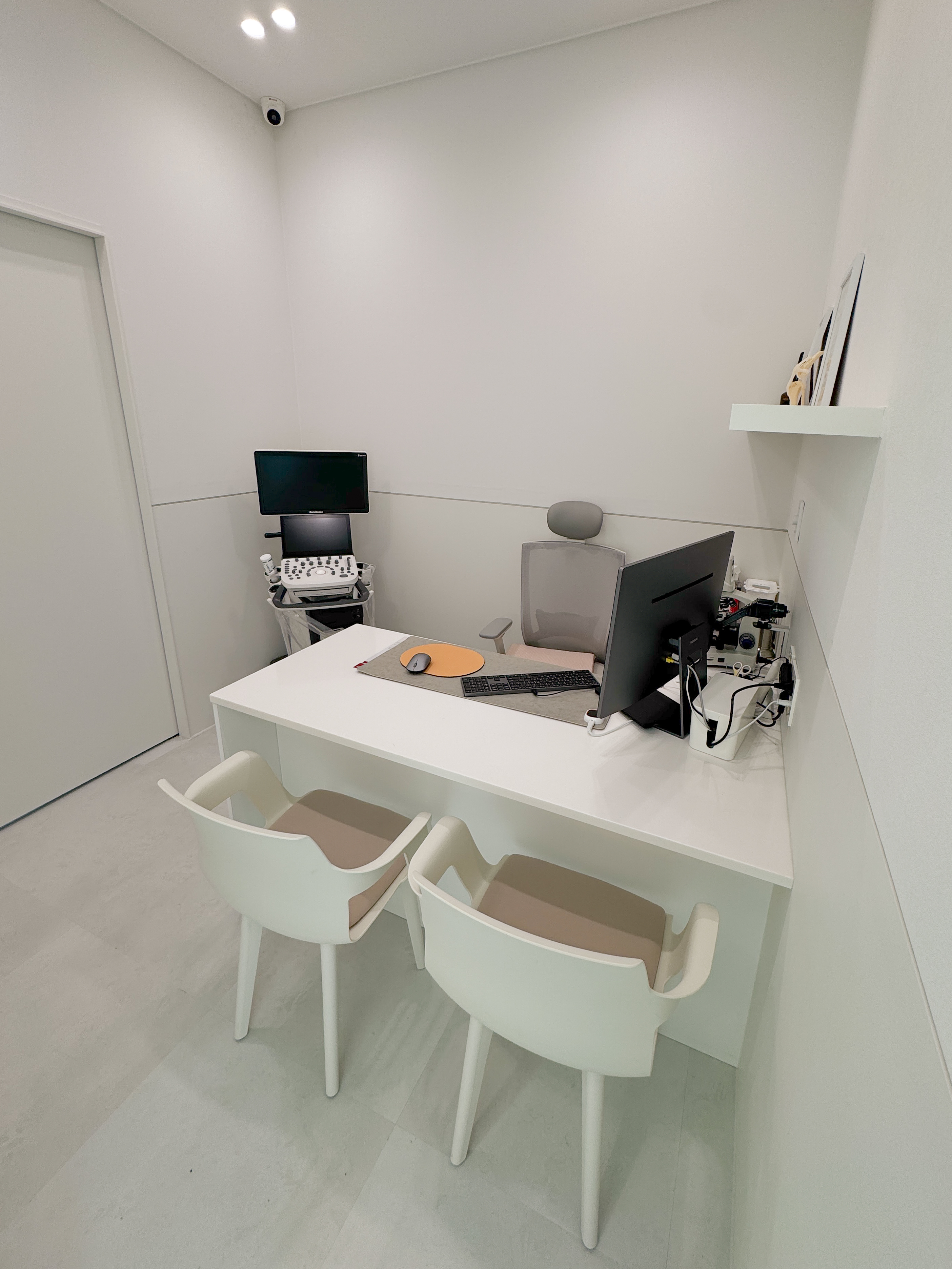 지금동물병원 대표 이미지