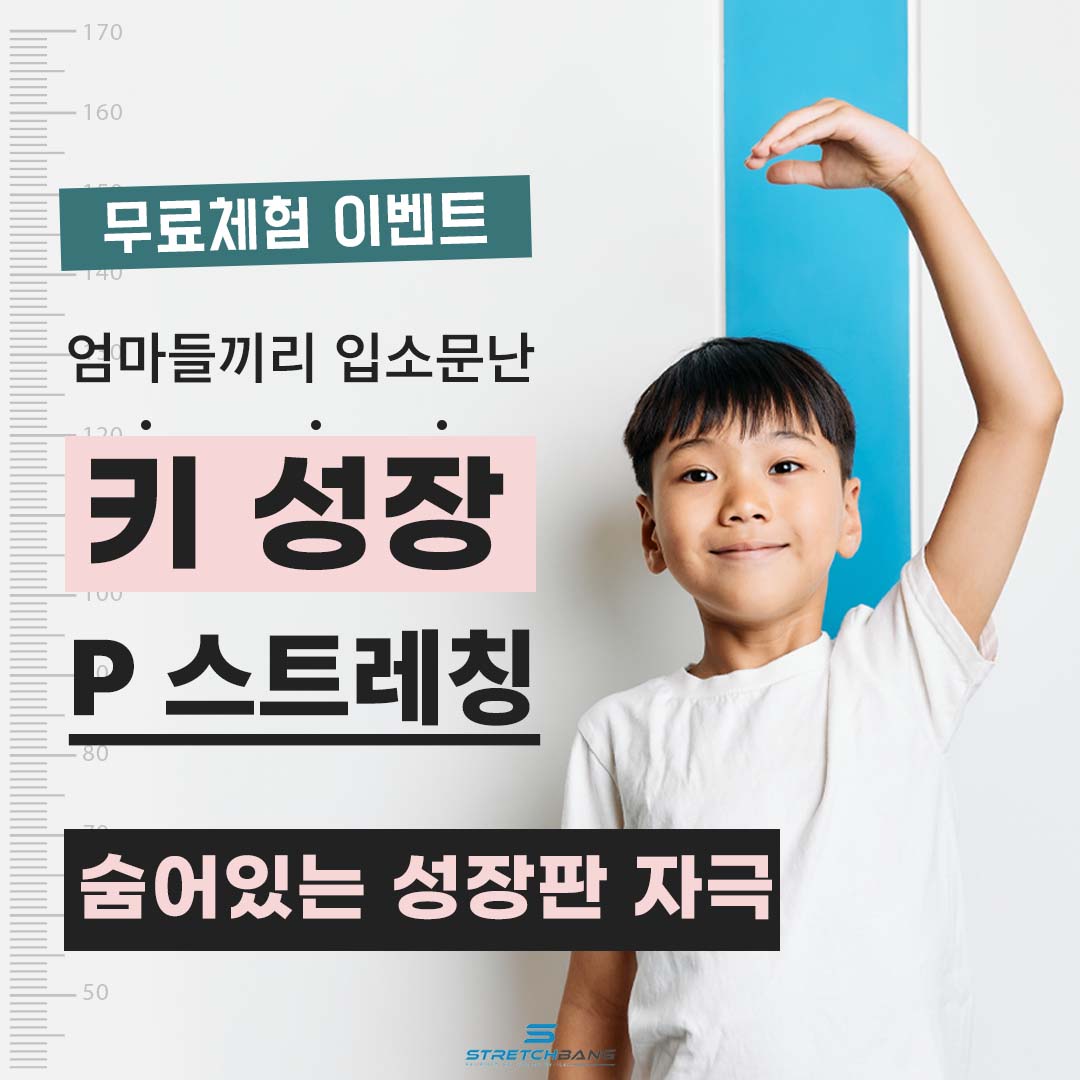스트레치뱅 송파점