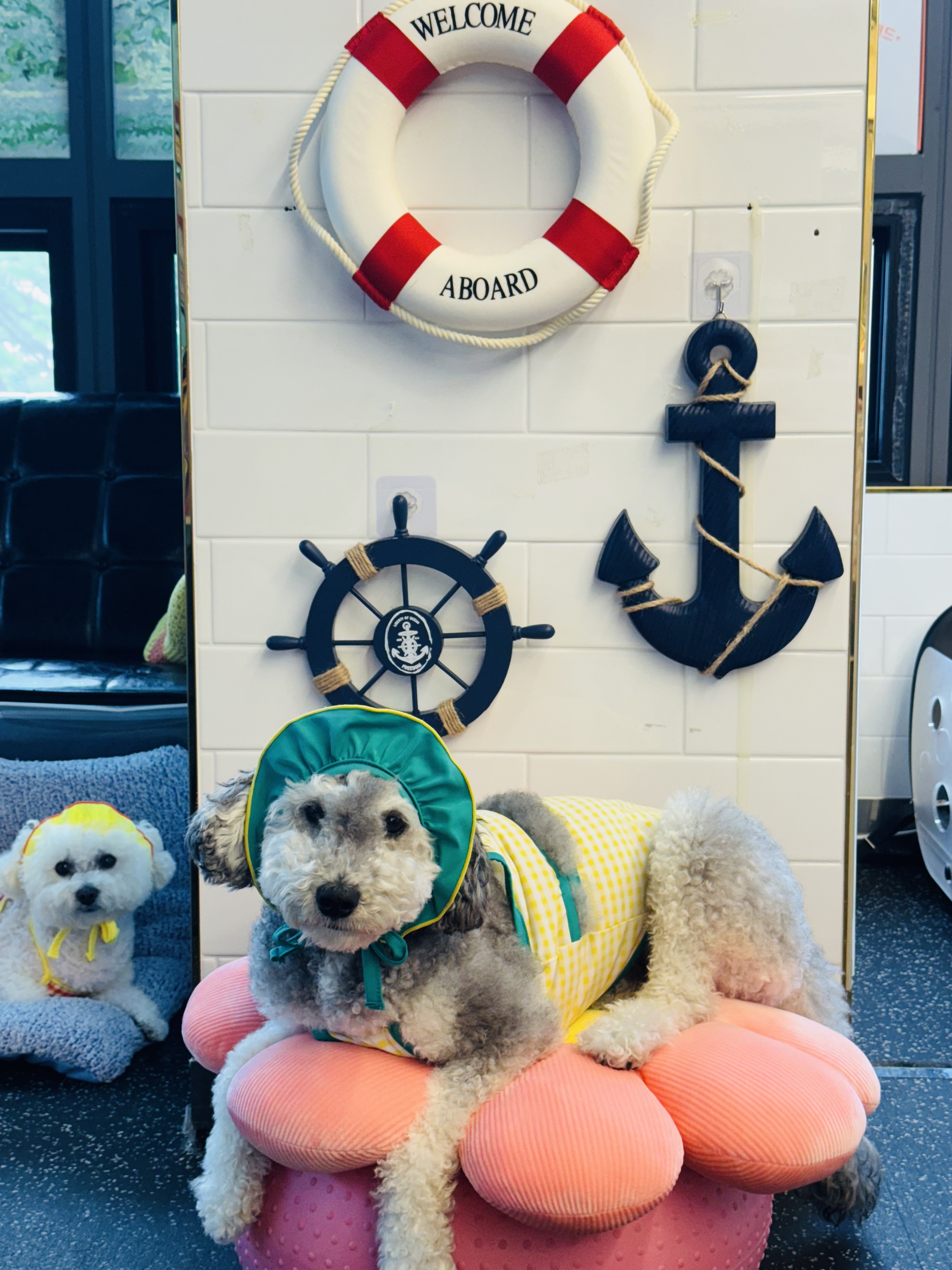 퍼피케어 애견호텔&애견유치원&애견놀이방 대표 이미지