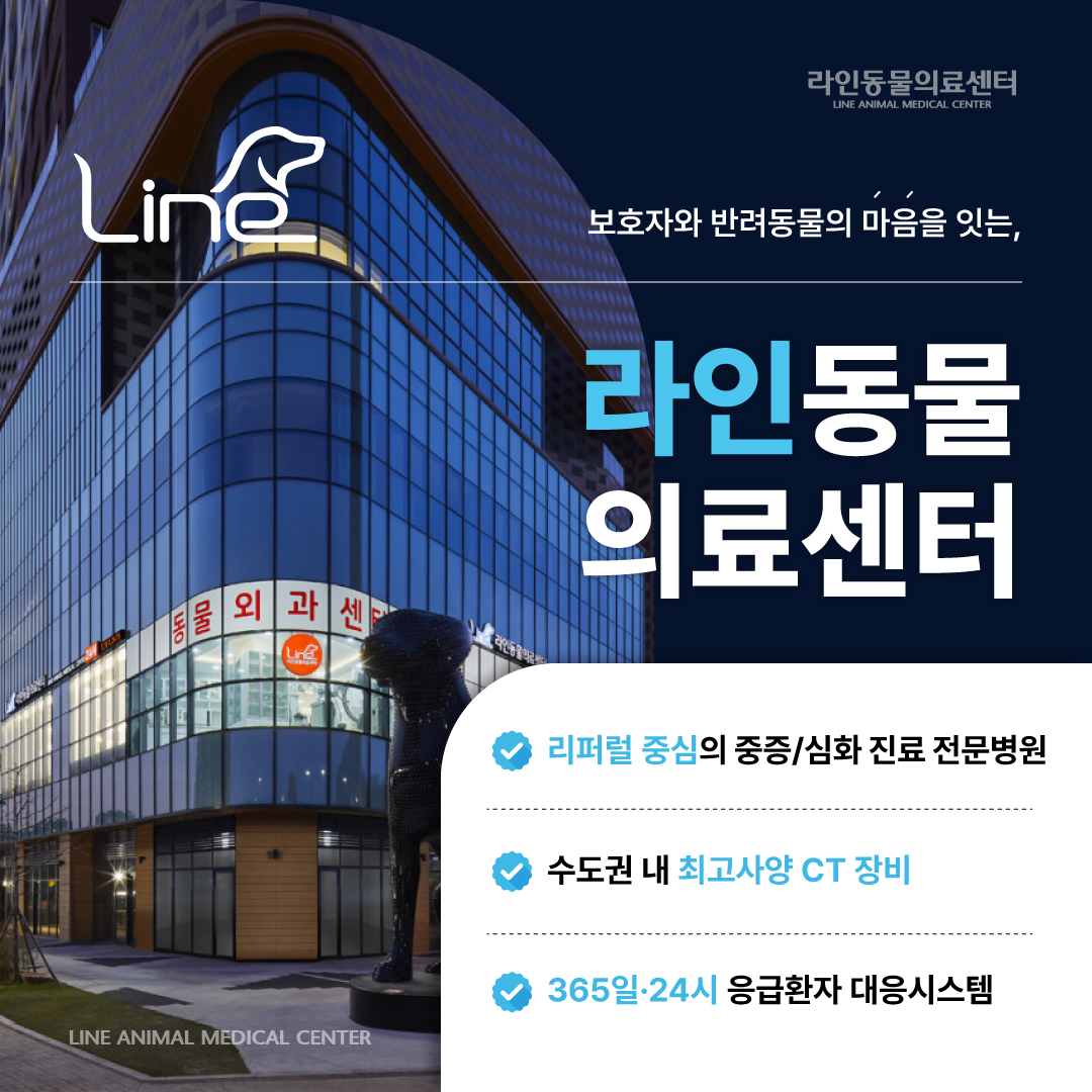 24시라인동물의료센터