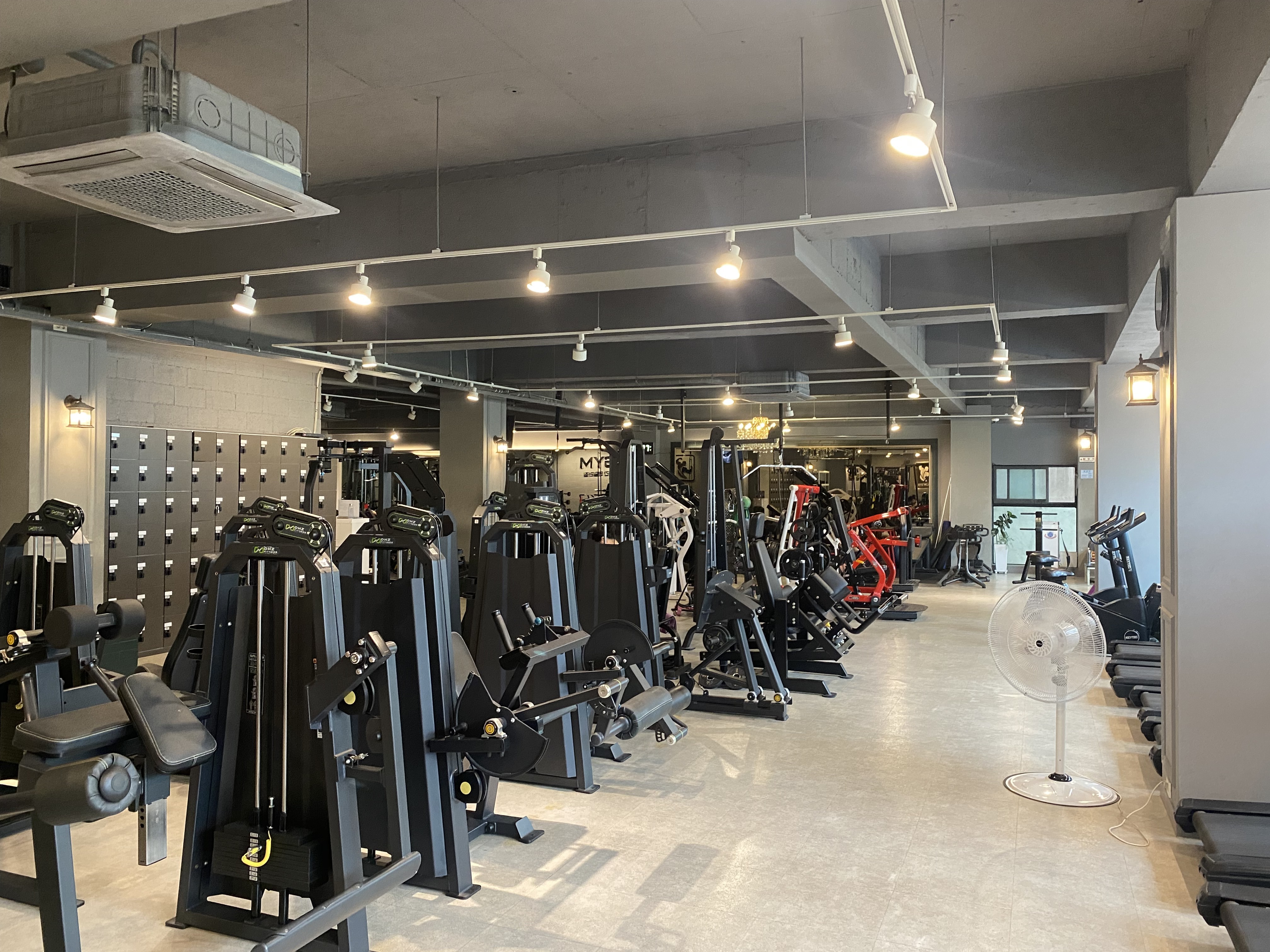 테일러짐 이곡점 대표 이미지