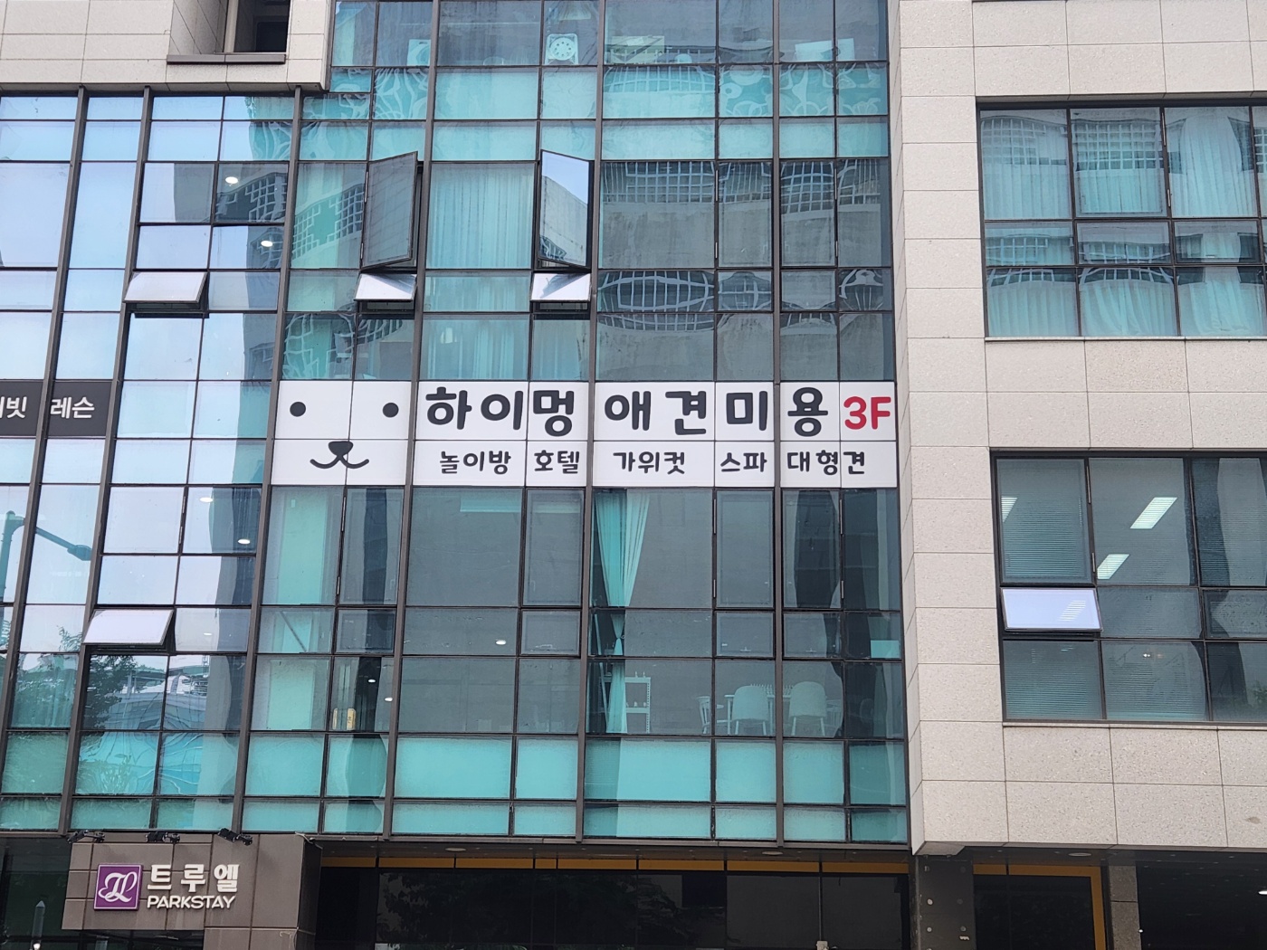 하이멍 대표 이미지