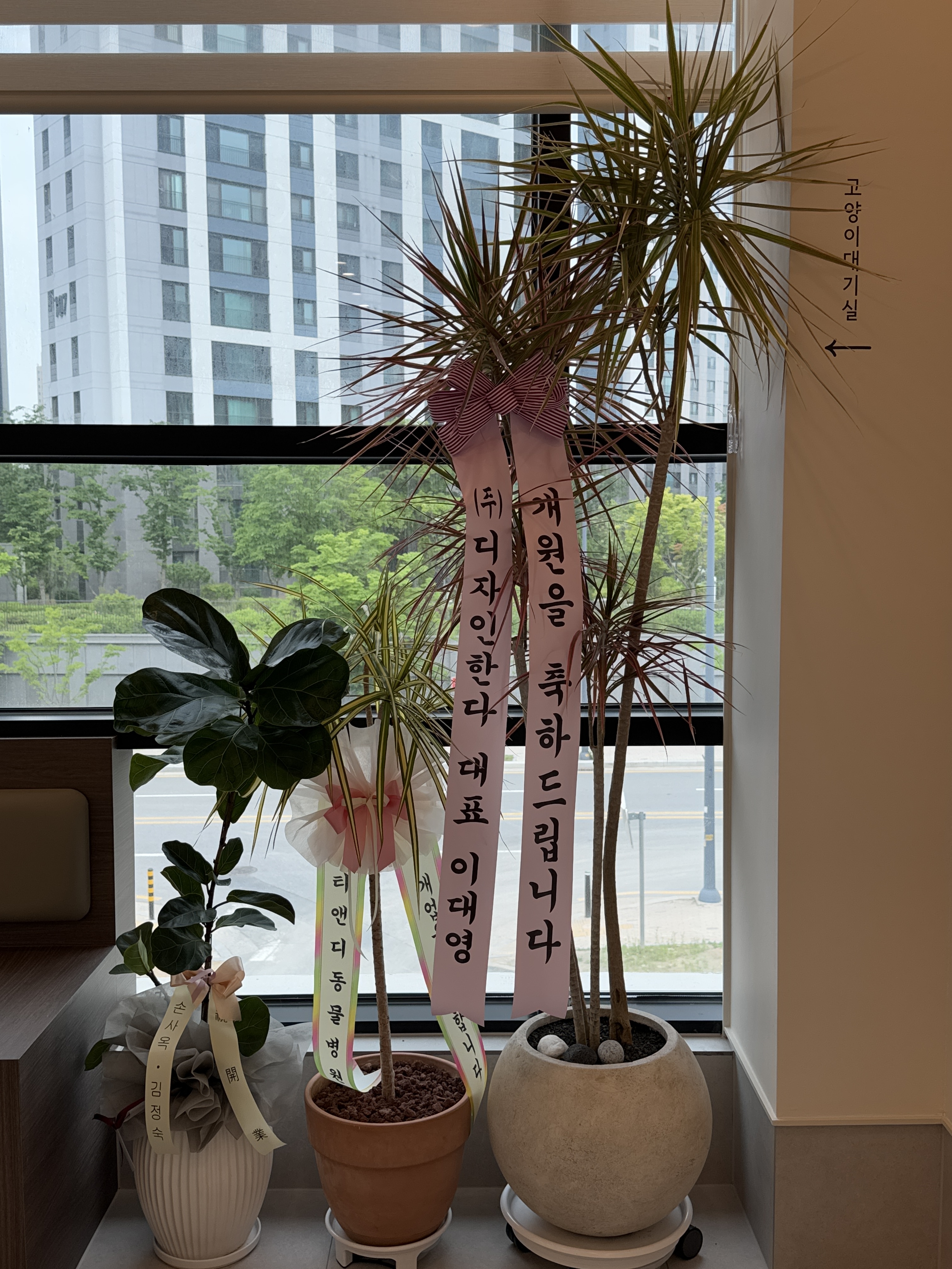 서현동물의료센터 대표 이미지