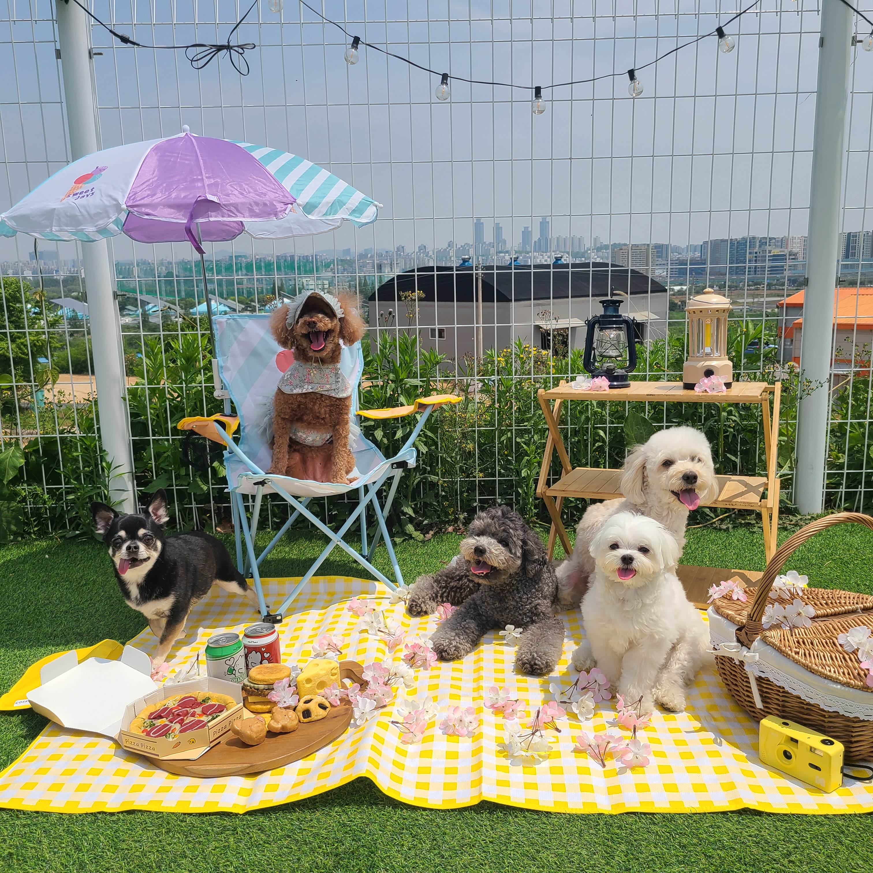 이리온 동탄 대표 이미지