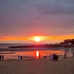 남도회조개구이