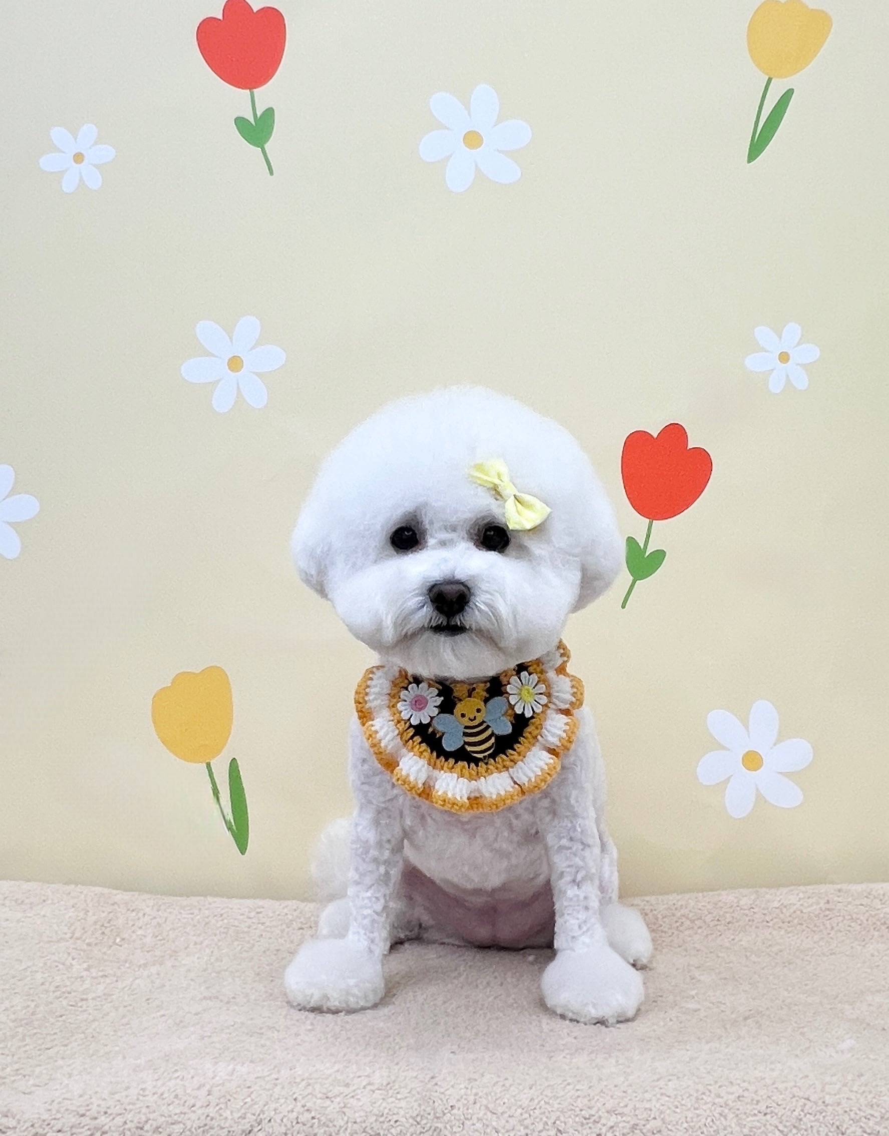 미장월 대표 이미지