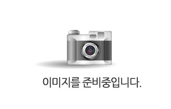 광발이