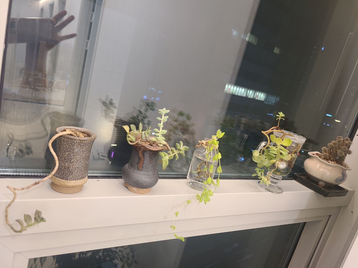 미소담심리상담센터 대표 이미지