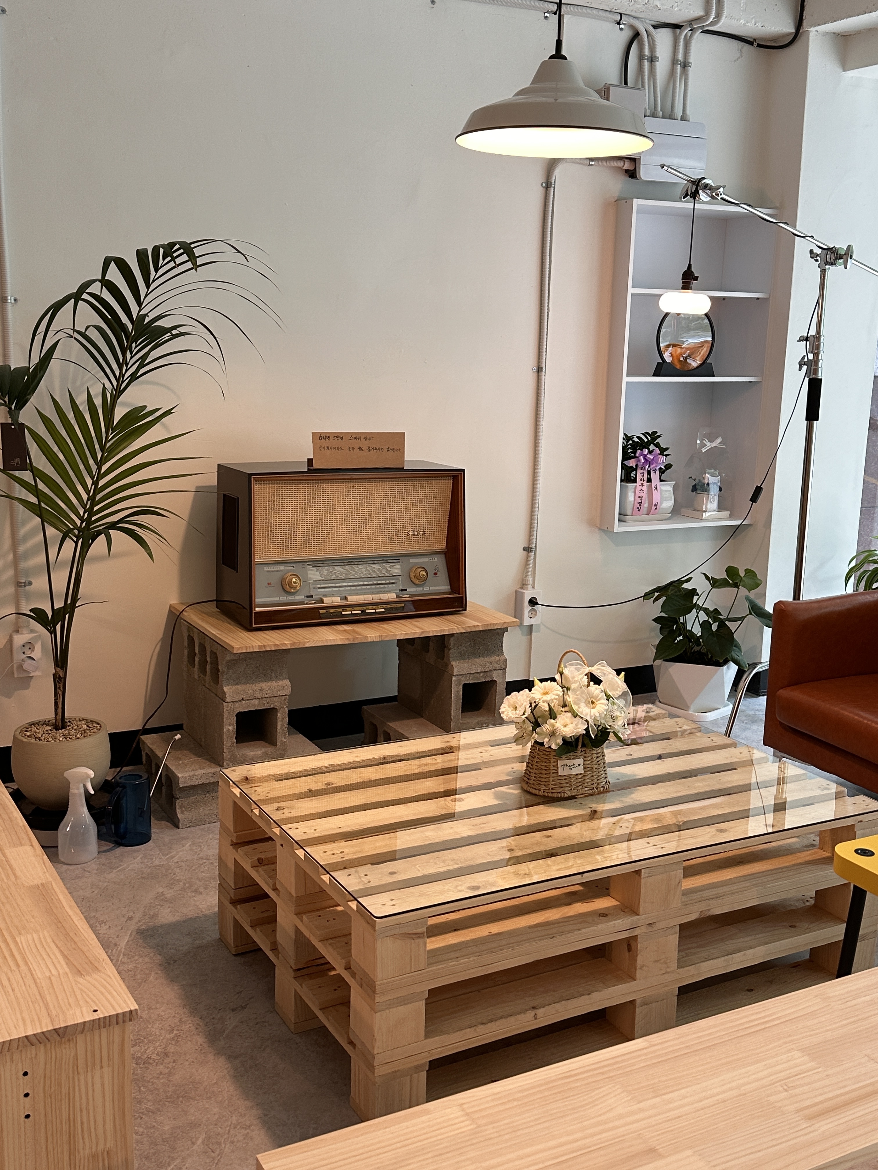 때시 대표 이미지