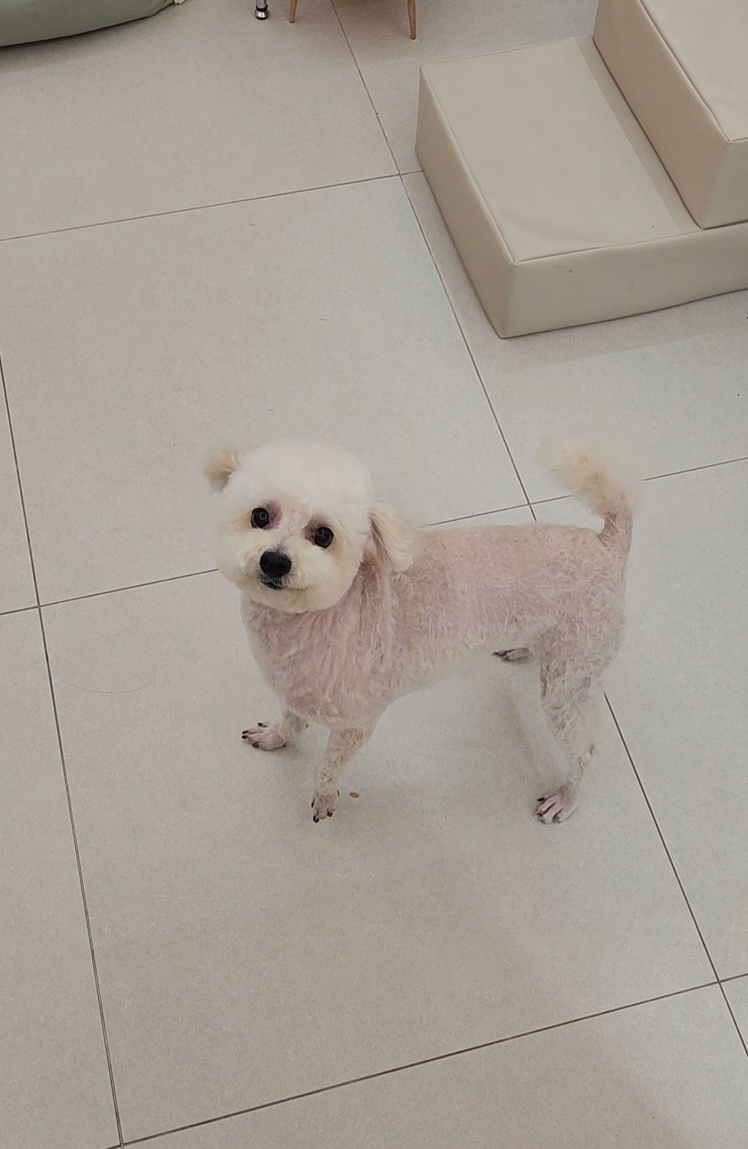 쥬뗌몽슈 대표 이미지