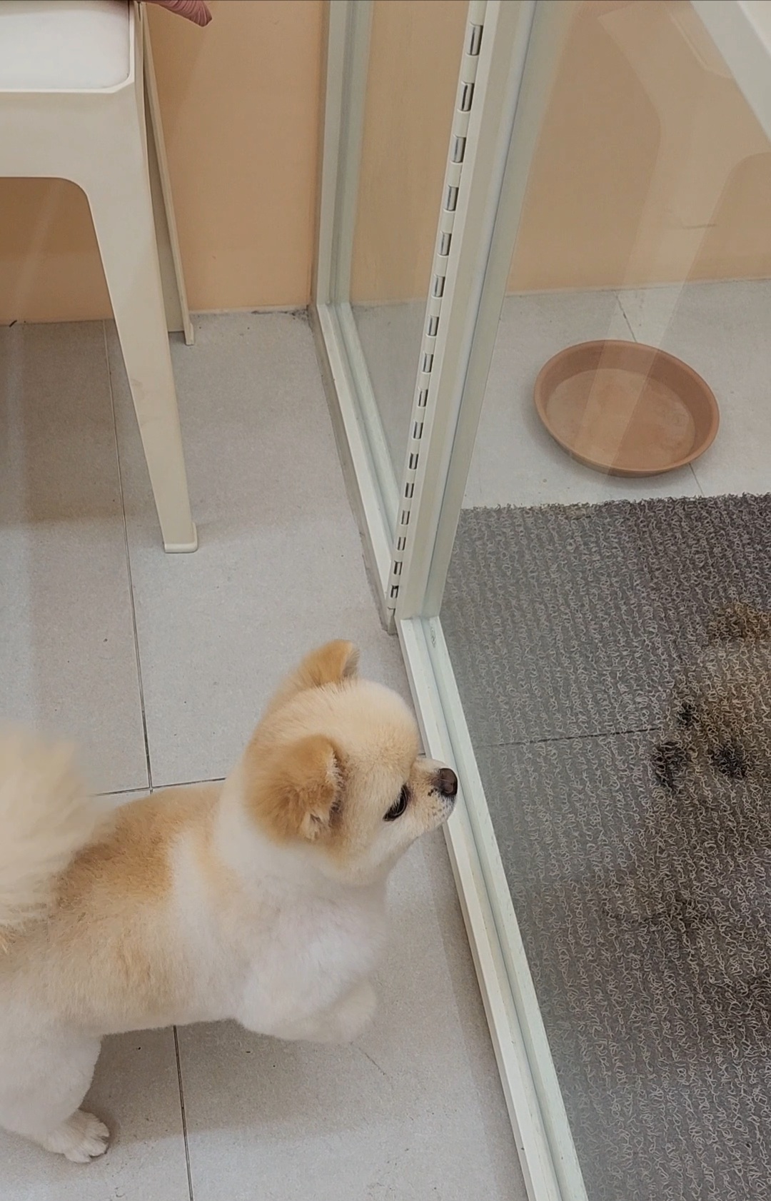 쥬뗌몽슈 대표 이미지