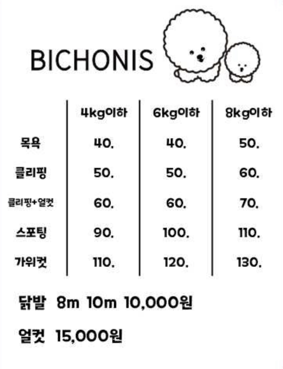 비숑이즈 대표 이미지