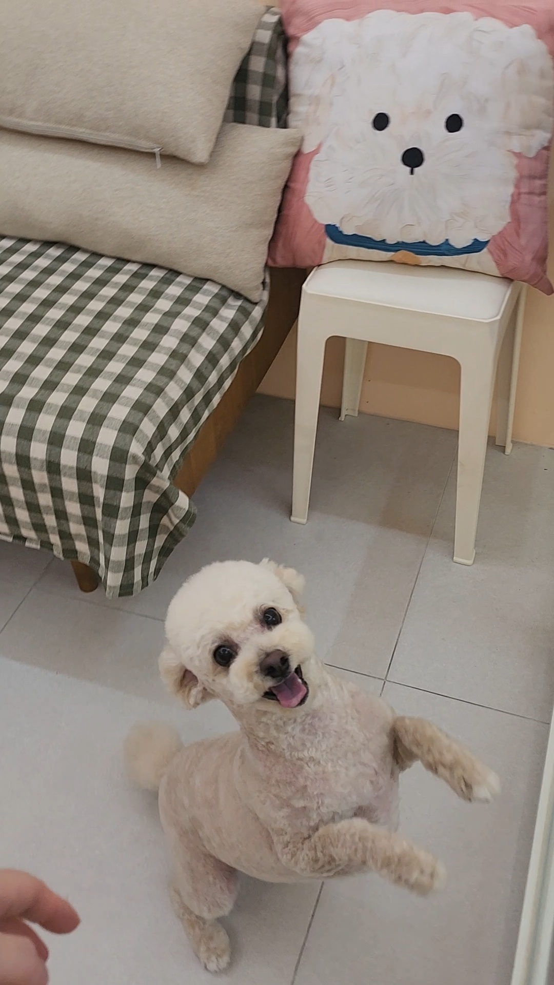 쥬뗌몽슈 대표 이미지