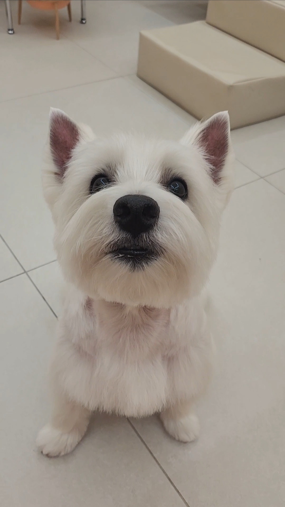 쥬뗌몽슈 대표 이미지