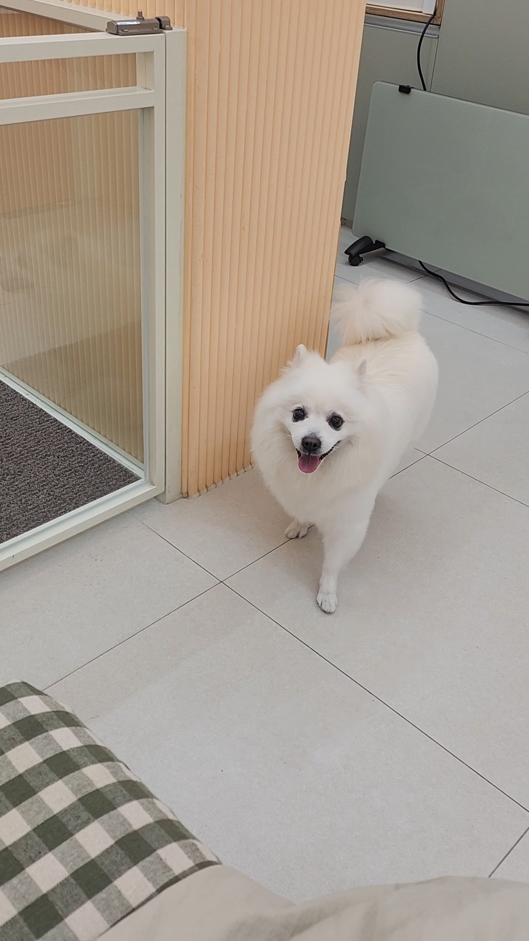 쥬뗌몽슈 대표 이미지