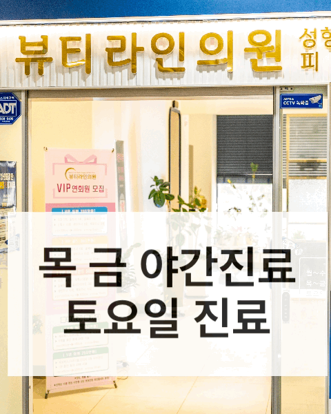 라인