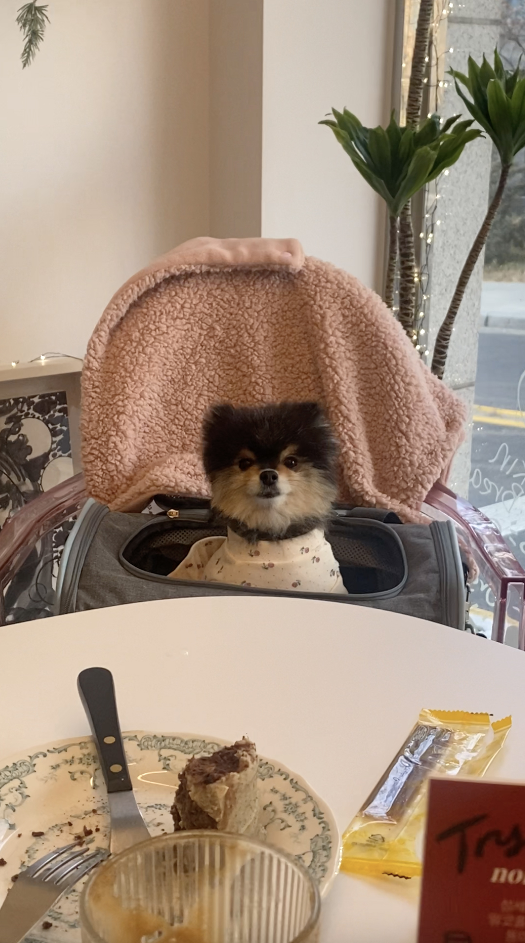 더버튼스 대표 이미지