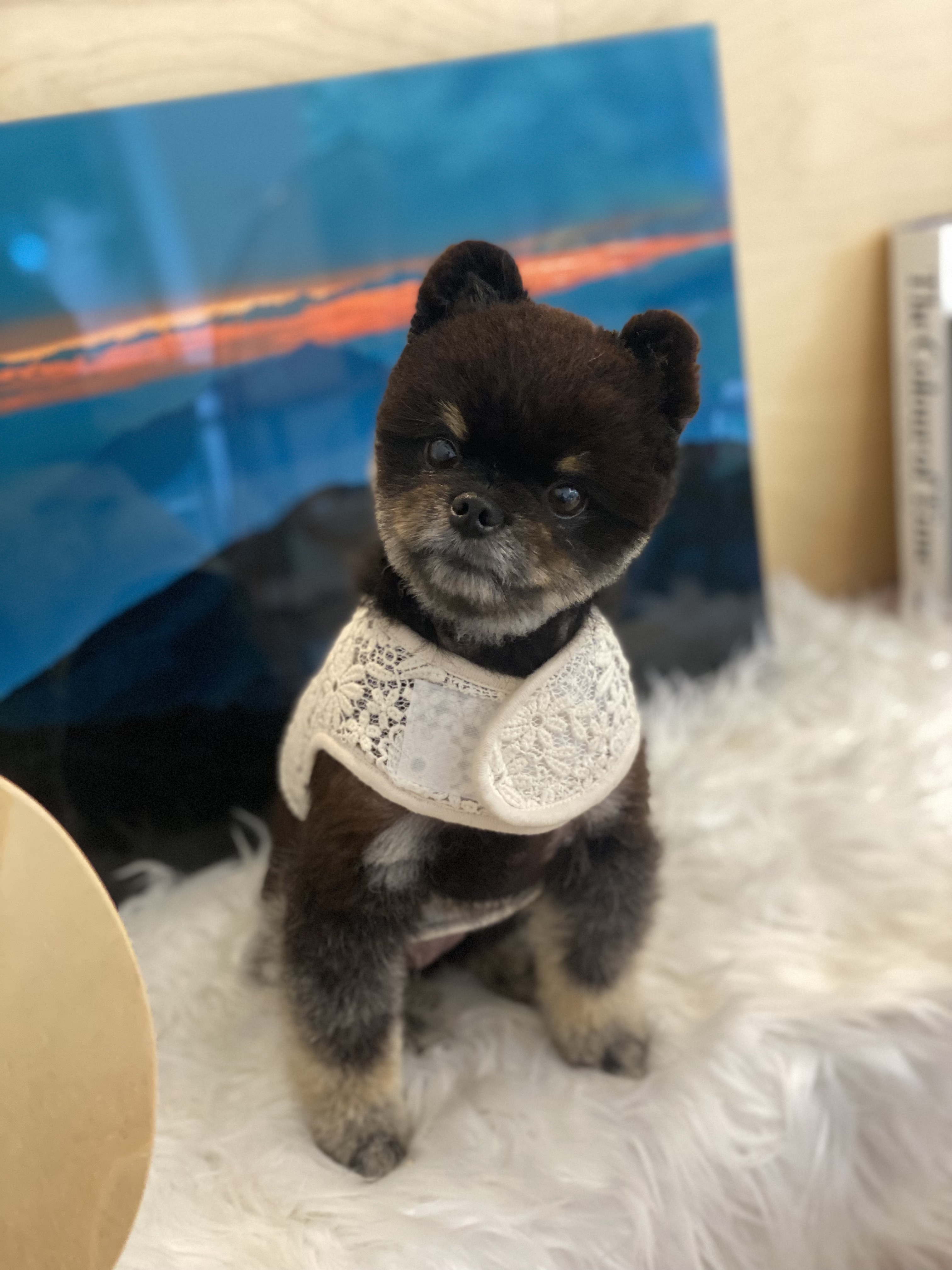 더버튼스 대표 이미지