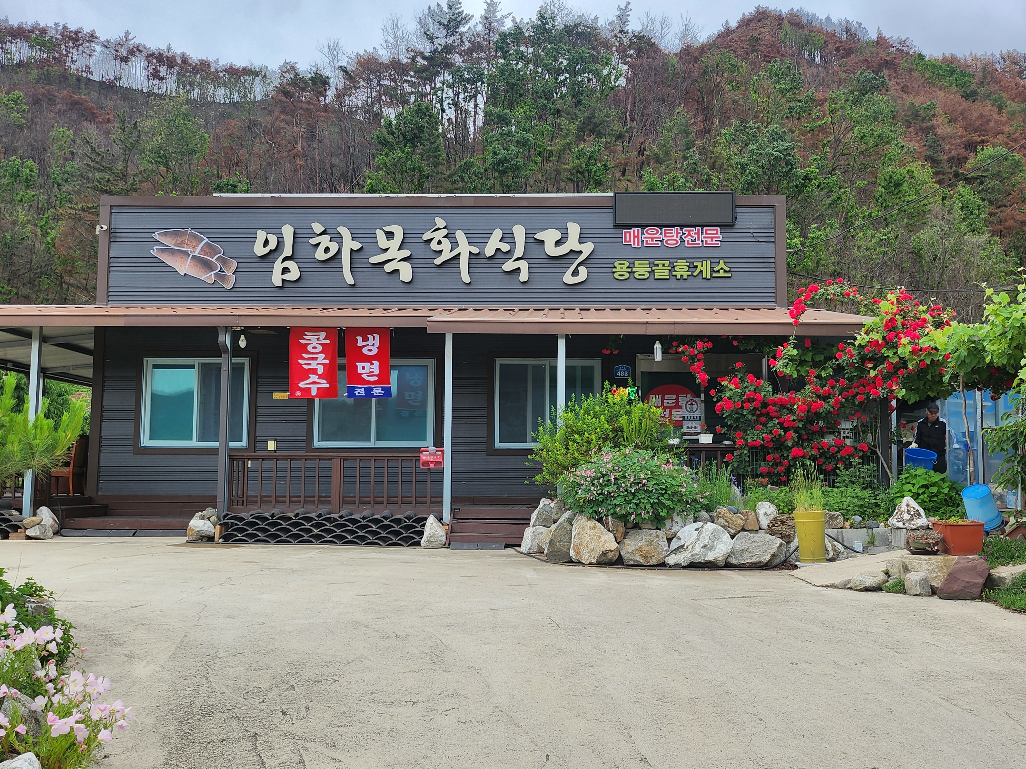 임하목화식당