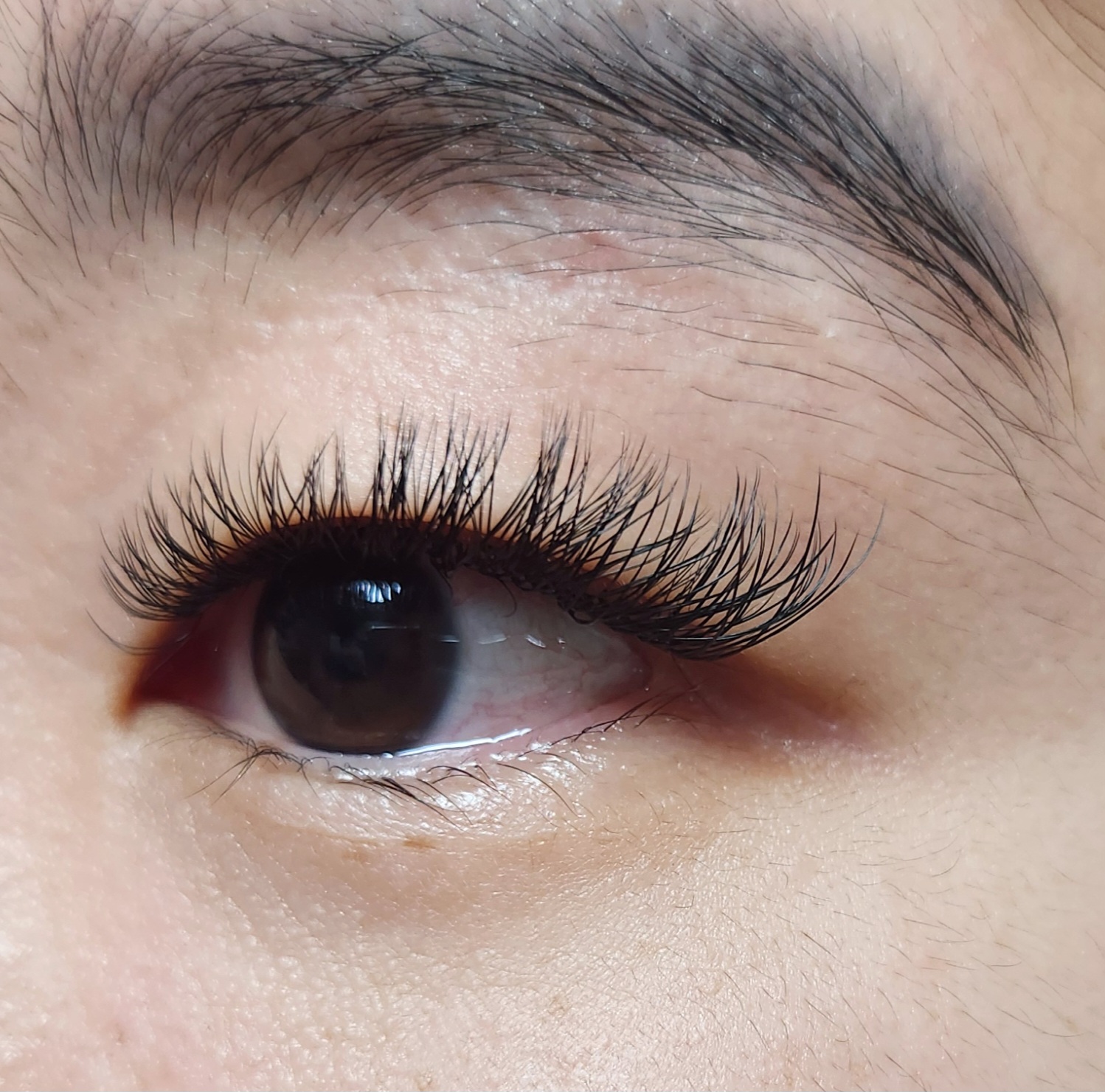 눈썹공주 대표 이미지