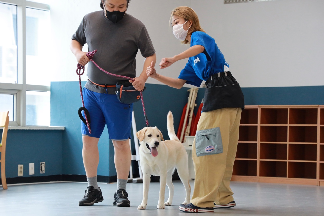 P&M반려견교육센터 대표 이미지