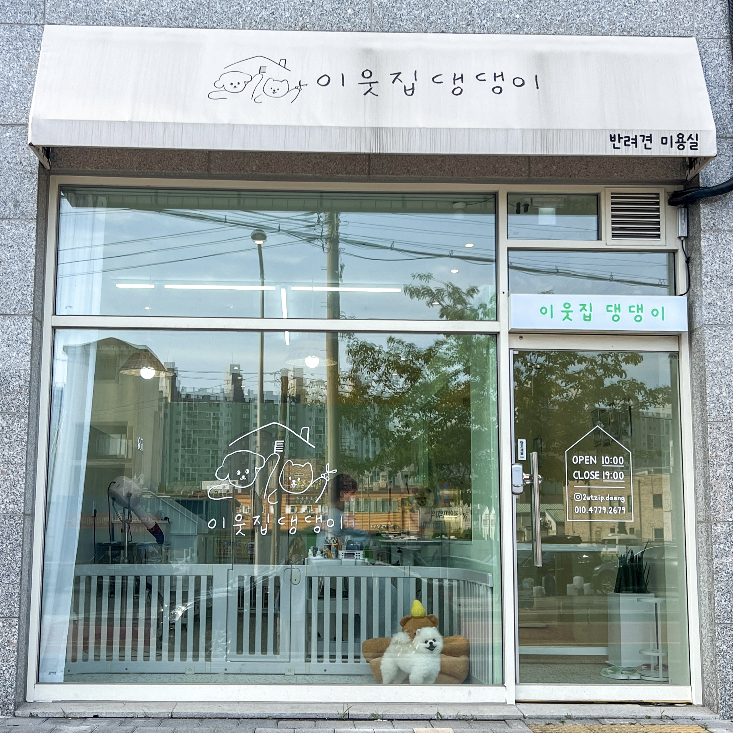 이웃집댕댕이