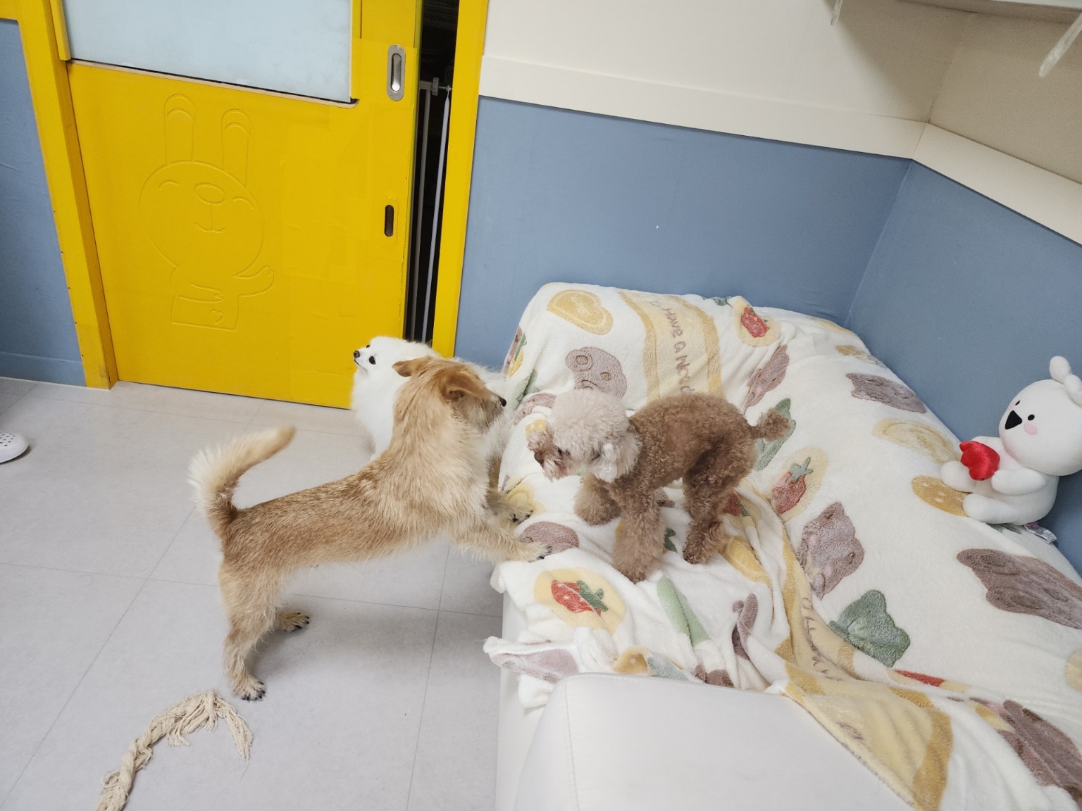 도그포레 대표 이미지