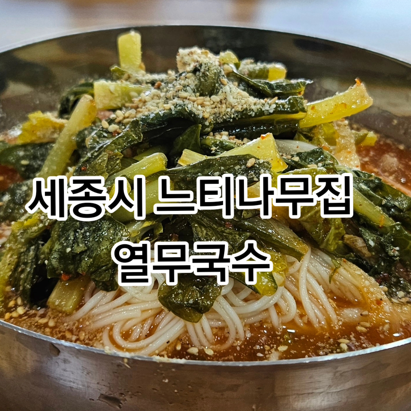 느티나무집