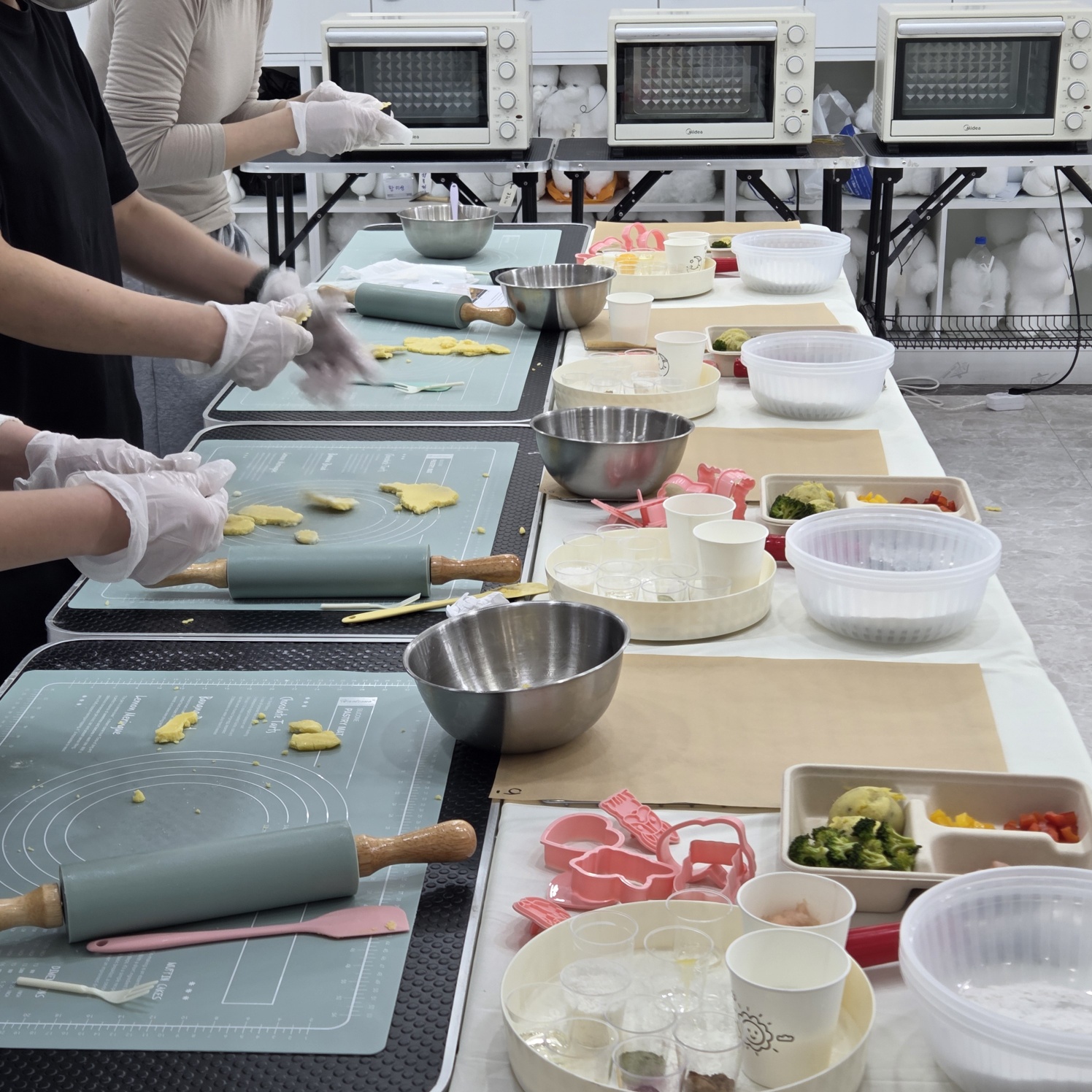 이바우펫애견미용학원 종로아카데미 대표 이미지