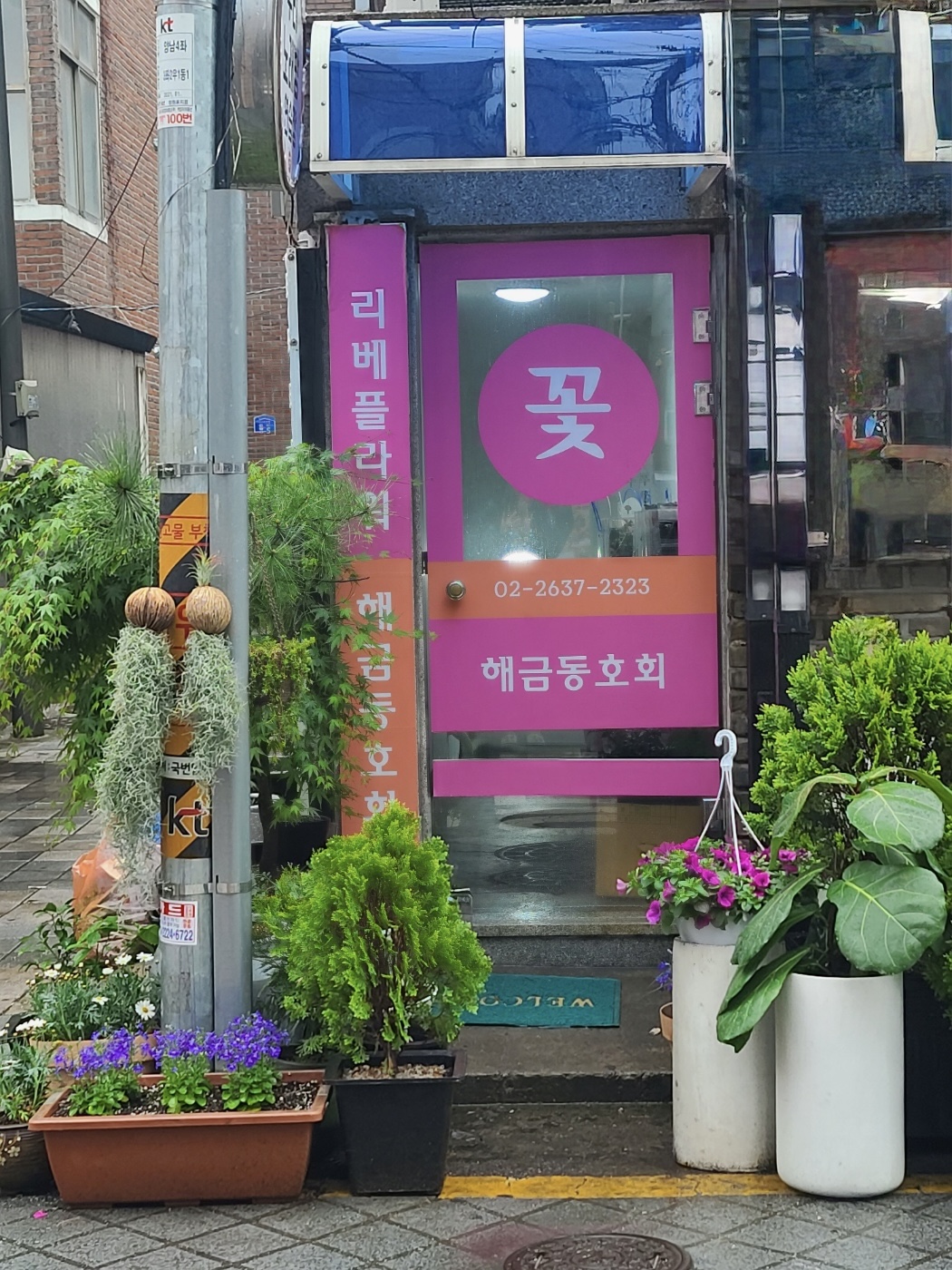 리베플라워