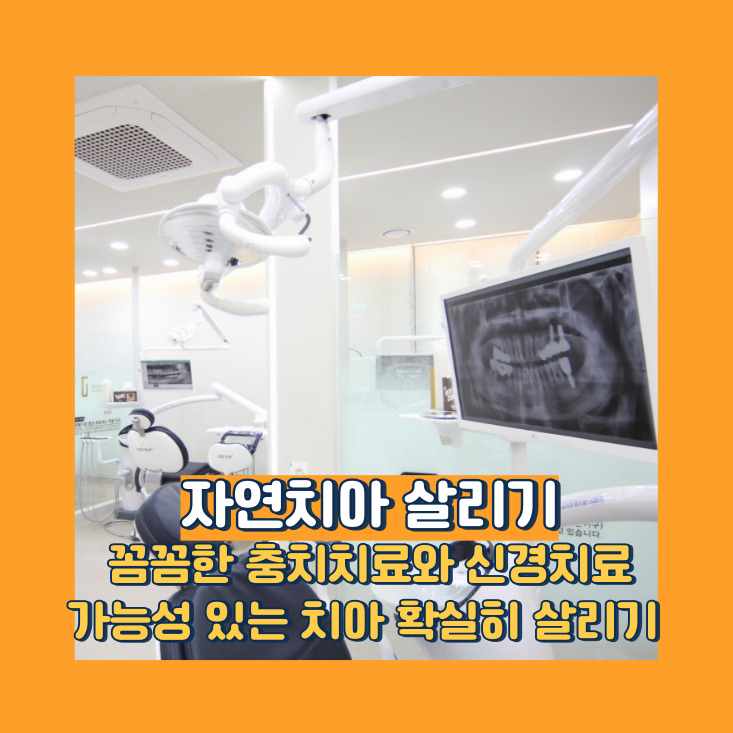 그랜드치과의원 대표 이미지