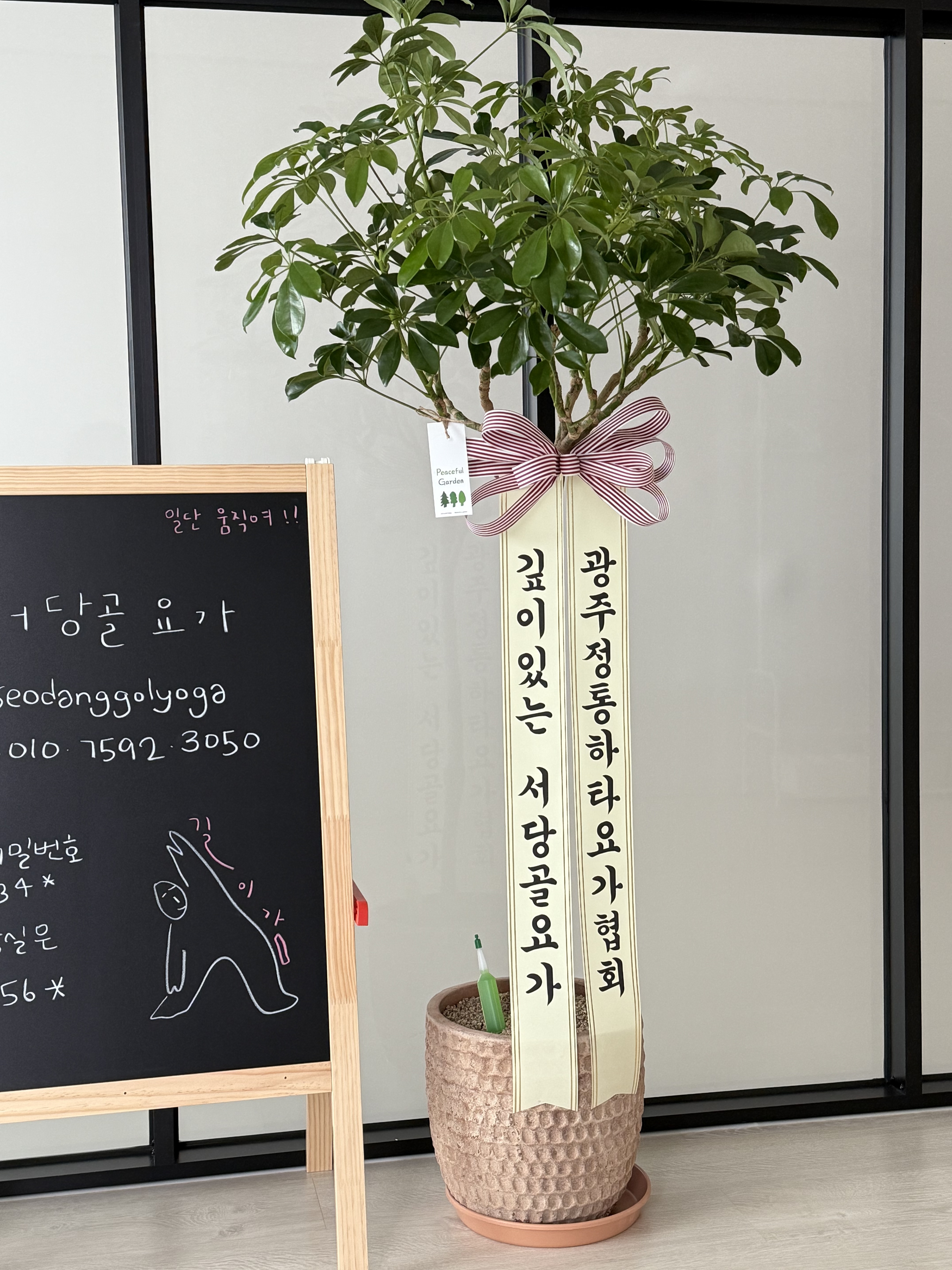 서당골요가 대표 이미지