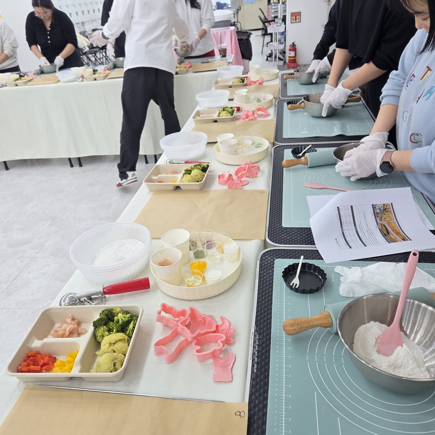 이바우펫애견미용학원 종로아카데미 대표 이미지