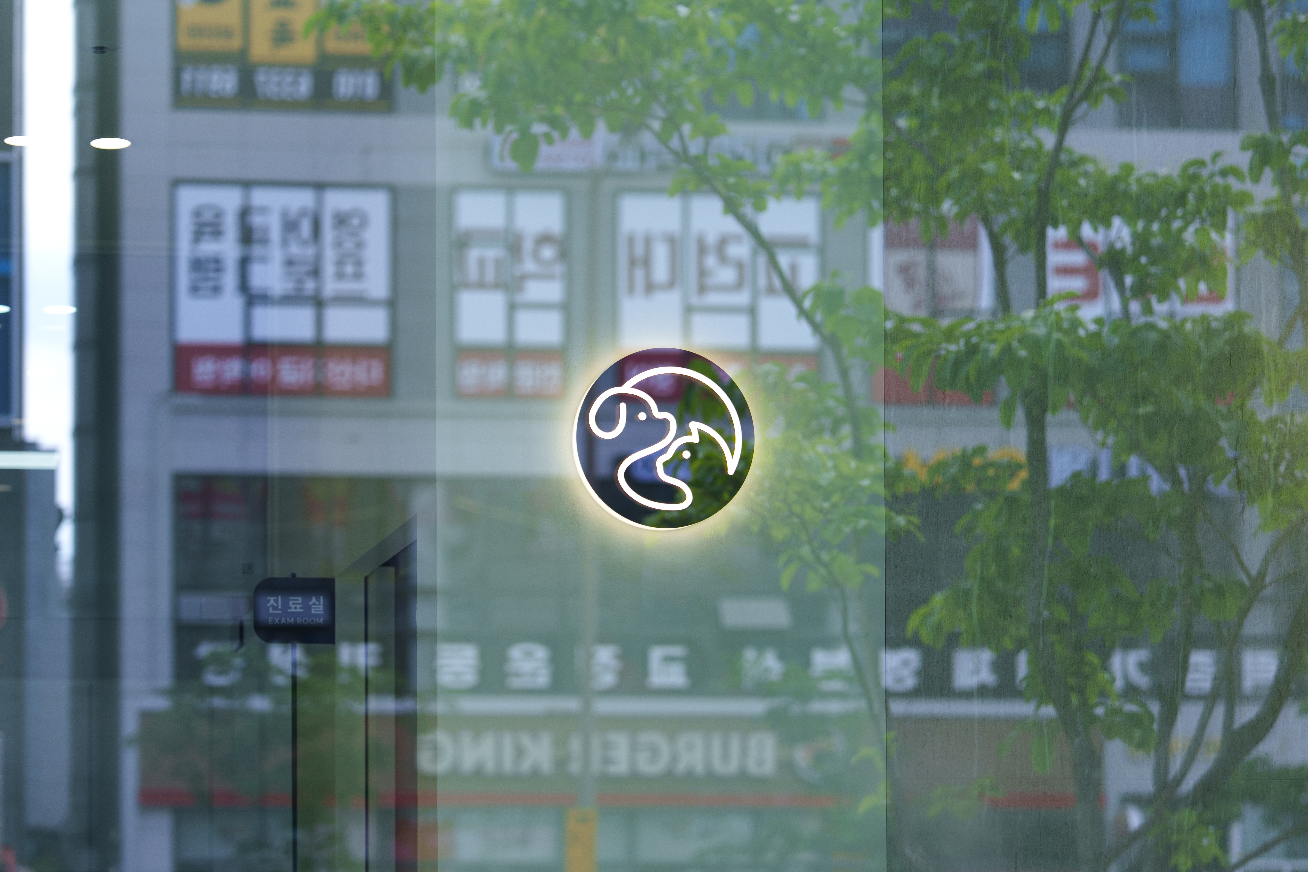 지금동물병원 대표 이미지