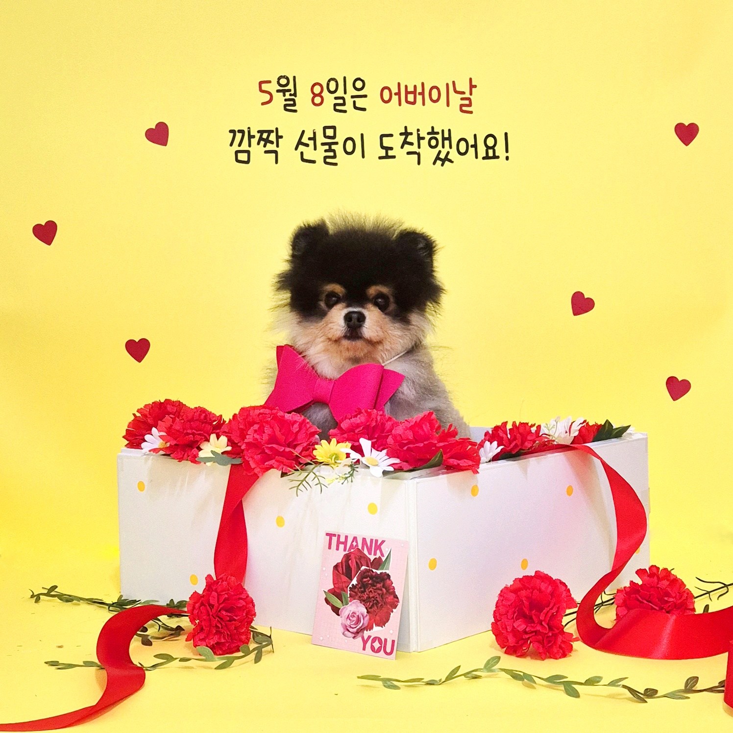 오구오구퍼피 대표 이미지