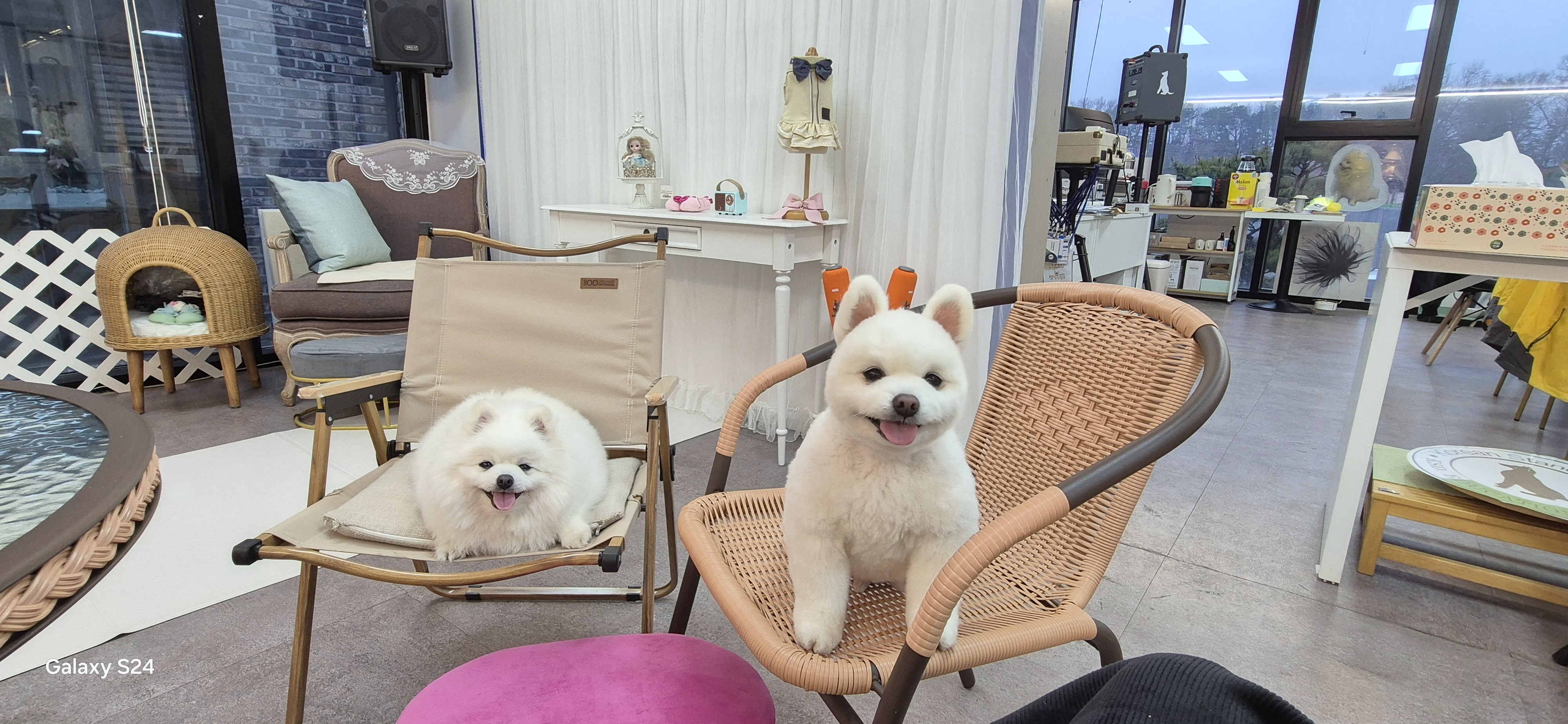 사단법인케이에스디문화원 대표 이미지