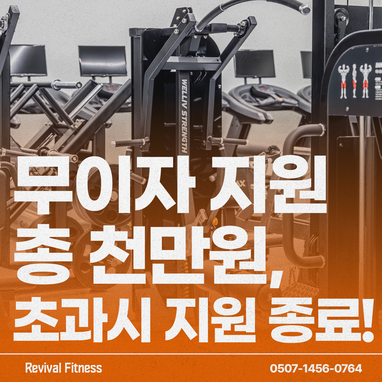 리바이벌 피트니스 헬스&PT삼성점