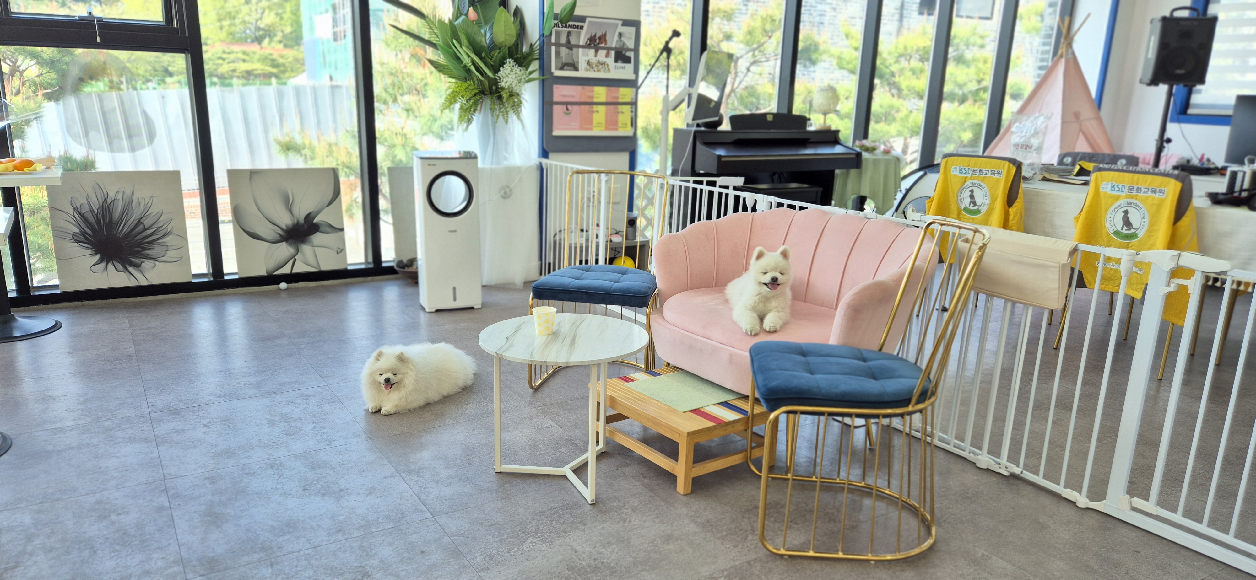 사단법인케이에스디문화원 대표 이미지