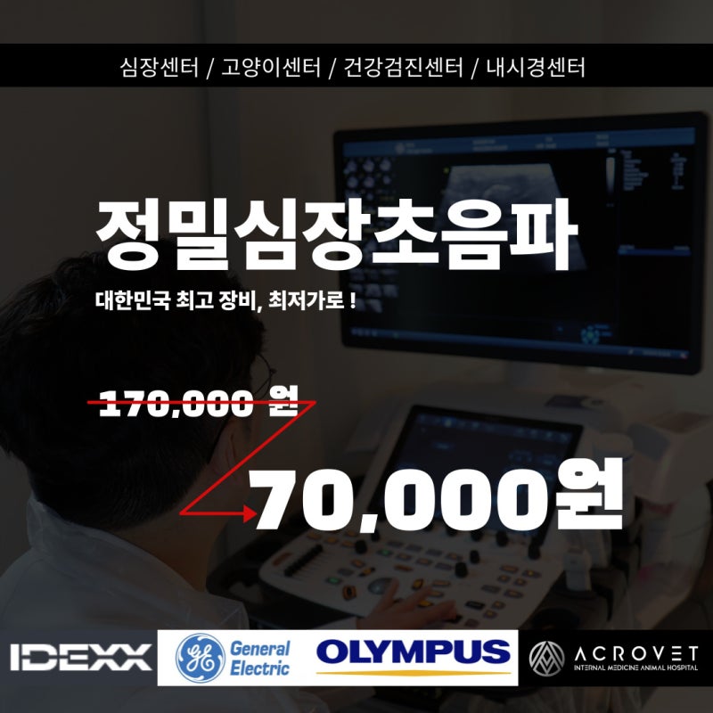 아크로벳내과동물병원 대표 이미지