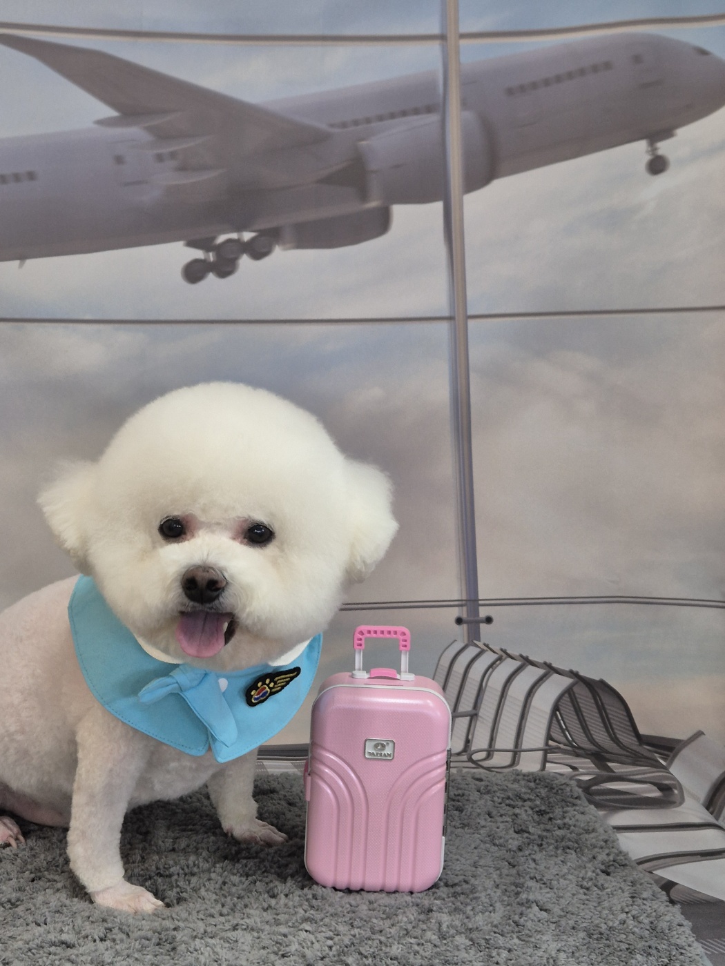 마스터그루밍 대표 이미지