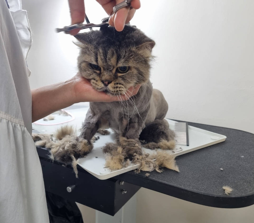 루비네 목욕탕 대표 이미지